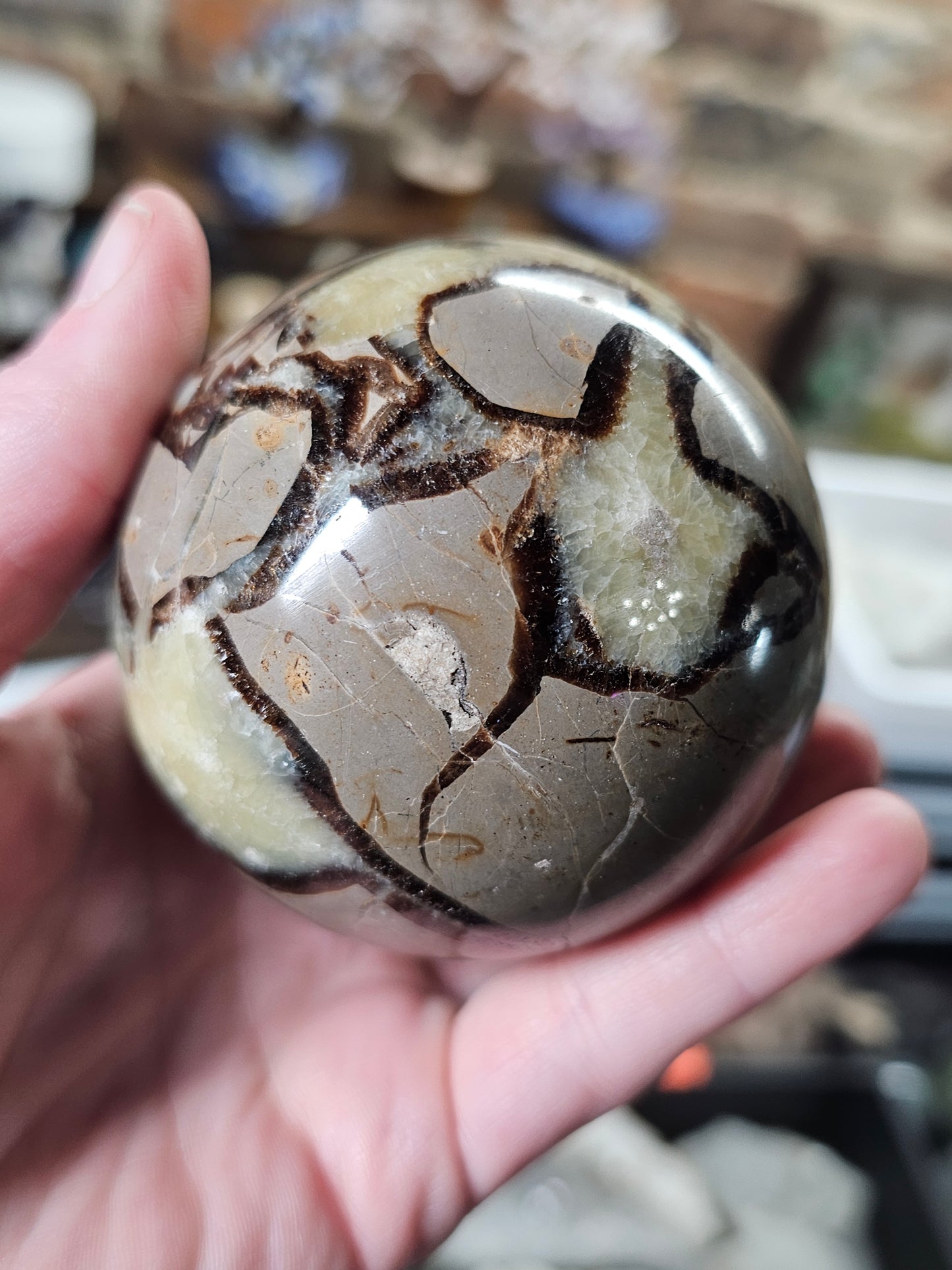 Septarian Nodule Sphere