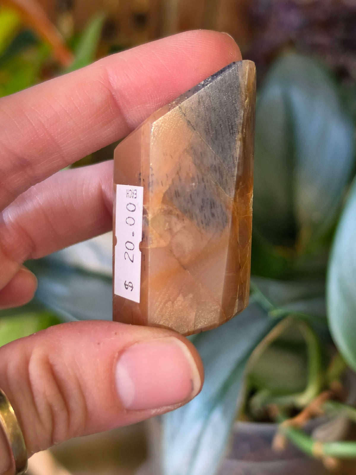 Black Sunstone