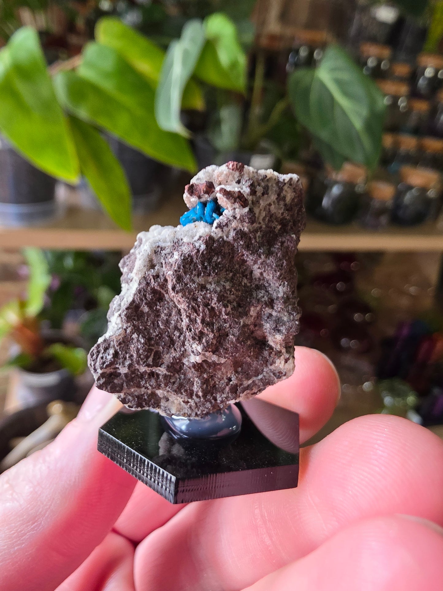 Cavansite On Matrix