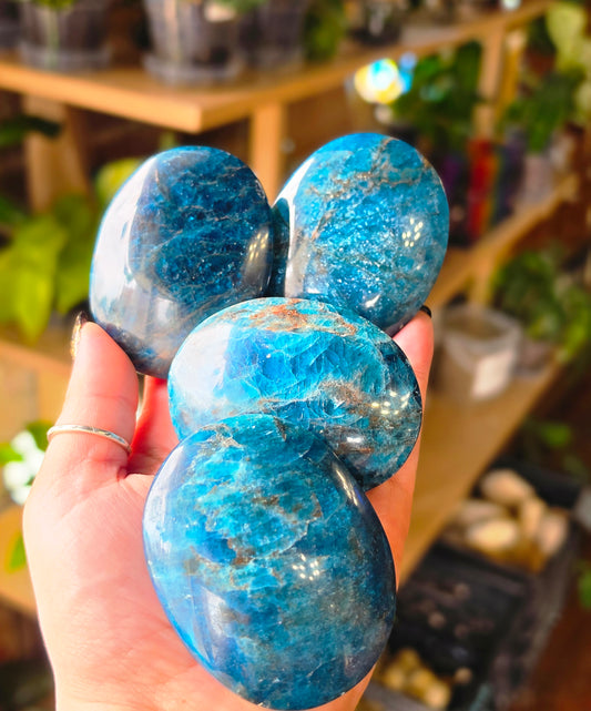 Blue Apatite Palmstone