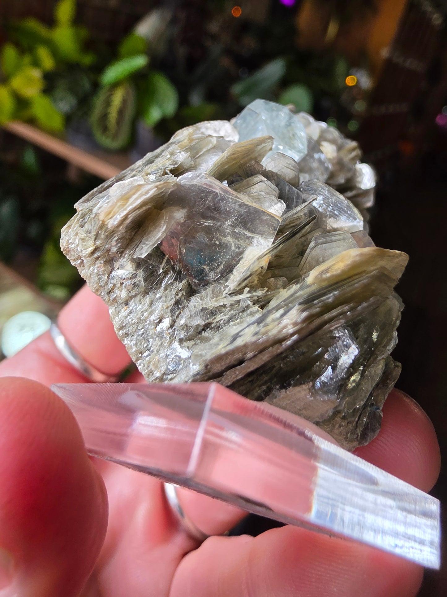Aquamarine on Muscovite