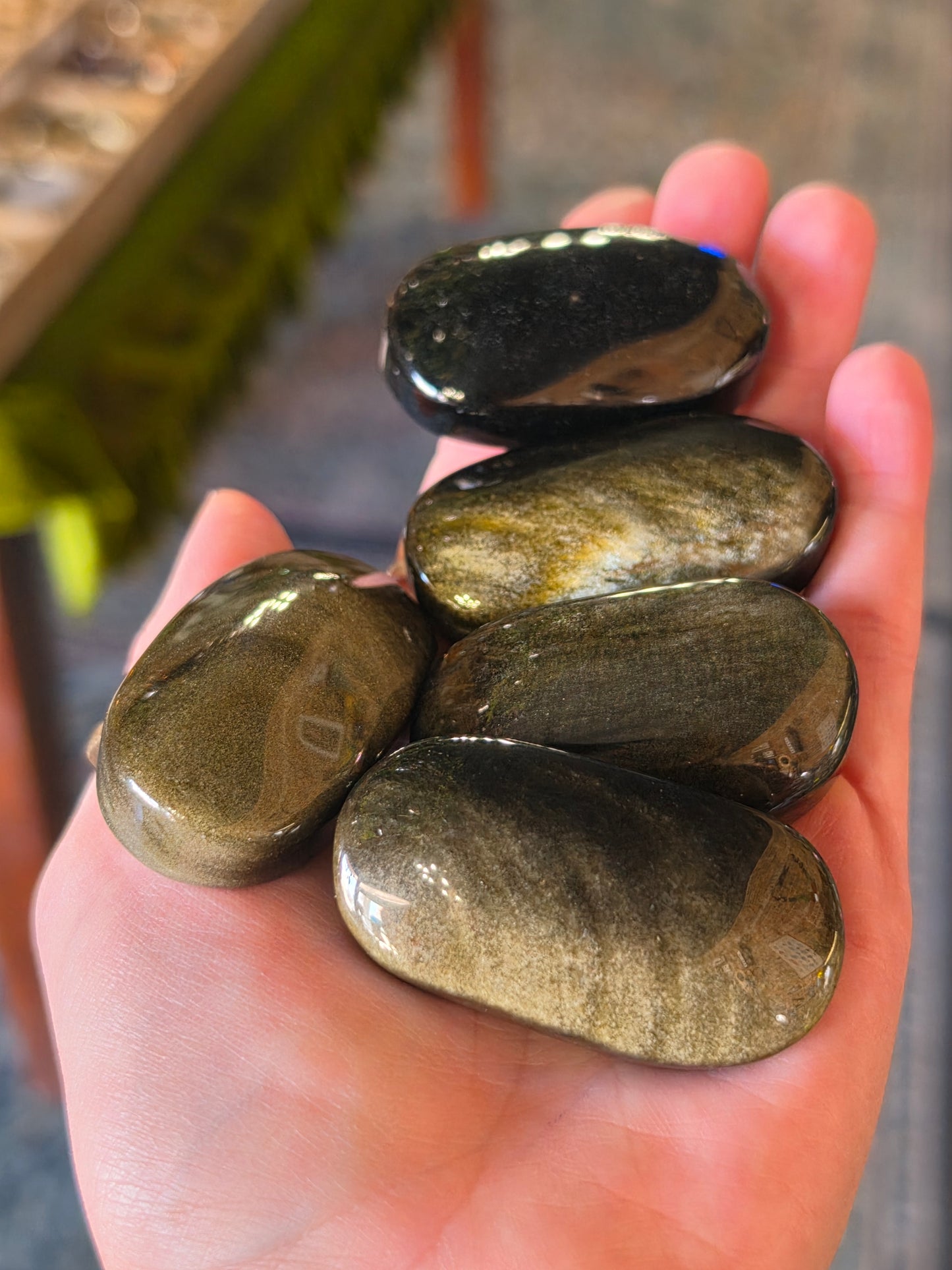 Gold Sheen Obsidian Palmstone