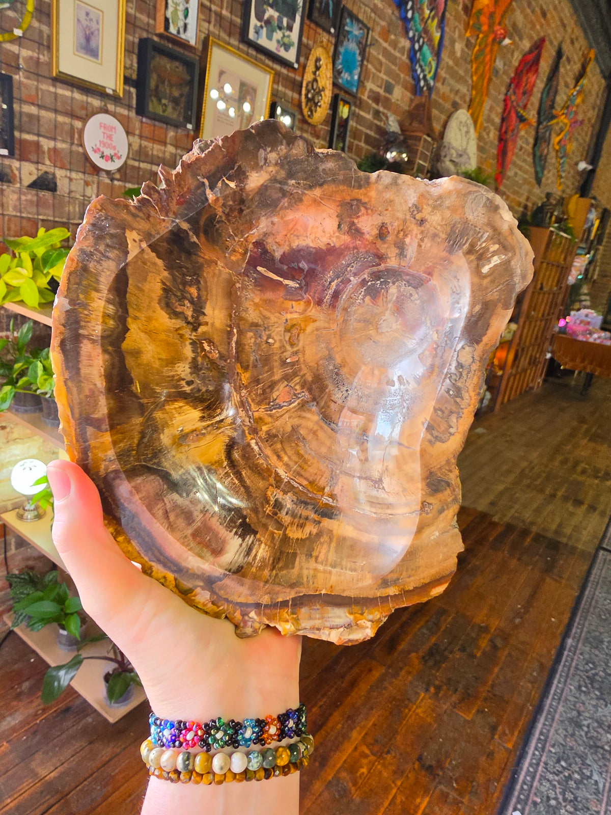 Petrified Wood Bowl
