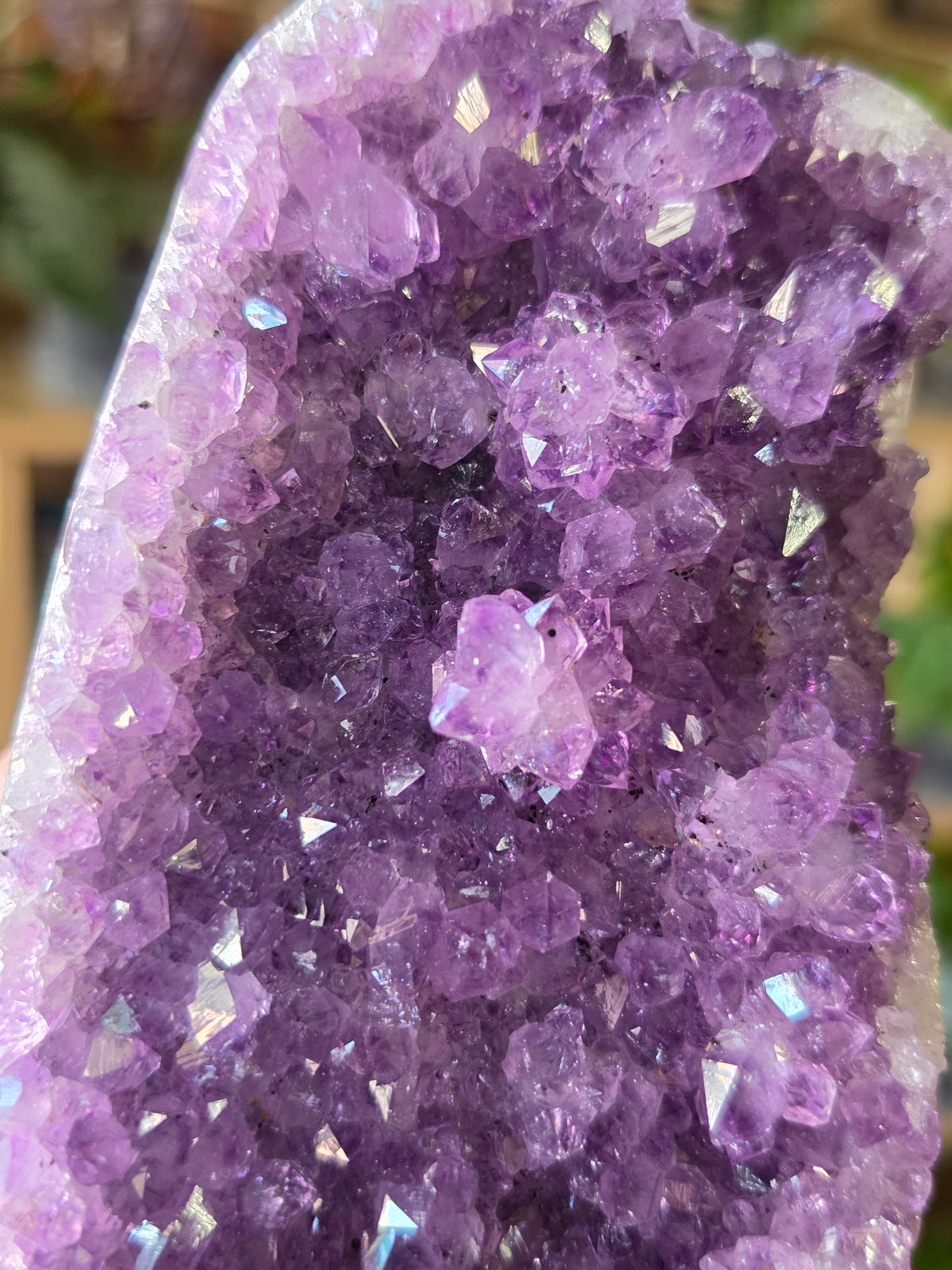 Cut Base Amethyst Cluster