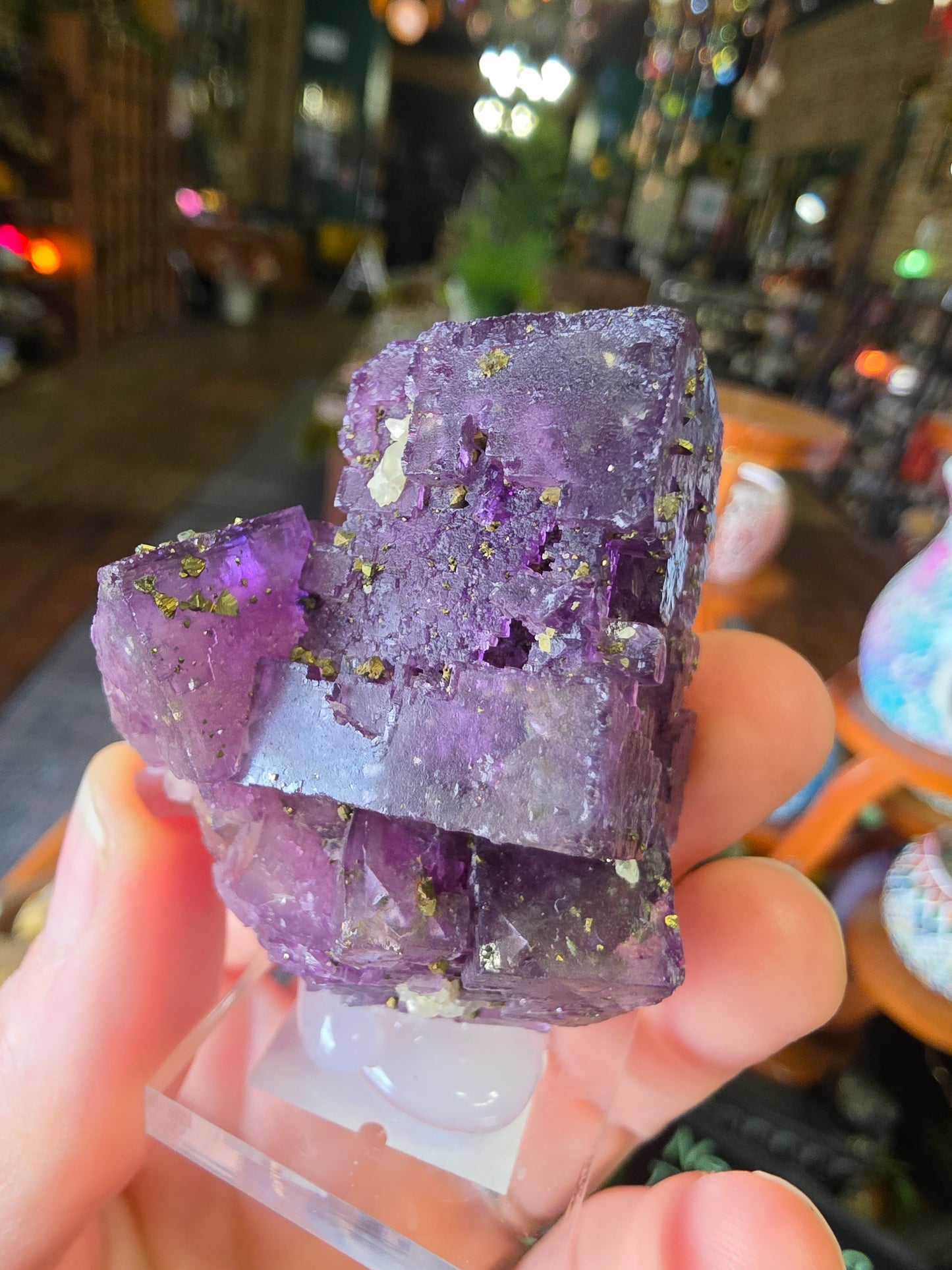 Pyrite on Fluorite