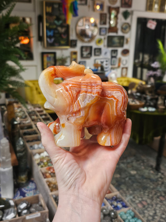 Carnelian Sardonyx Agate Elephant Carving