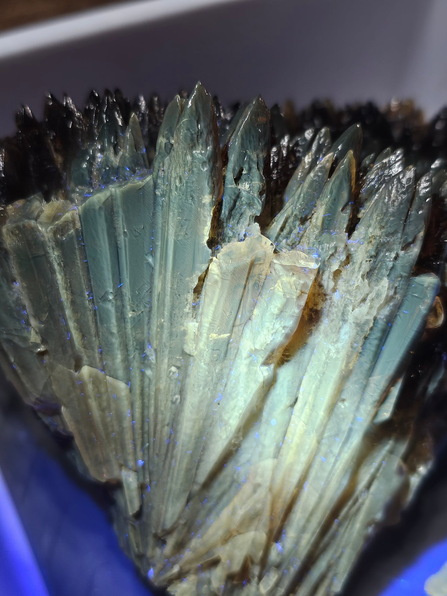 Amber Calcite