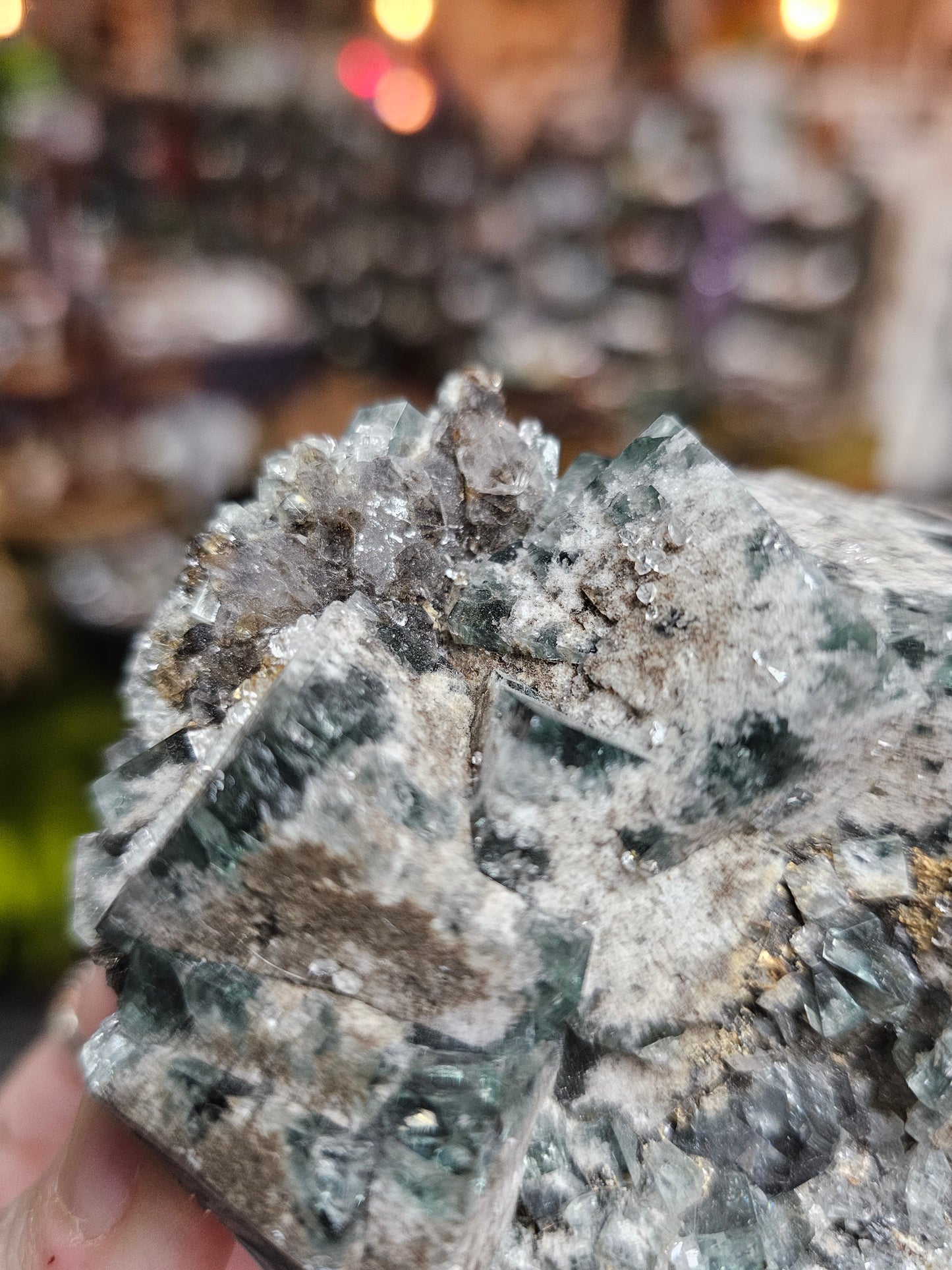 Diana Maria Fluorite