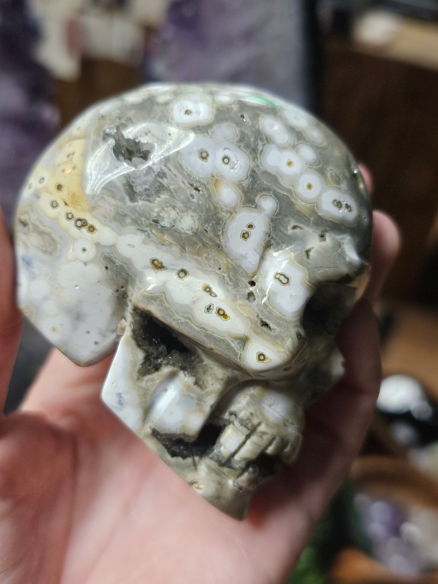 Orbicular Jasper Skull