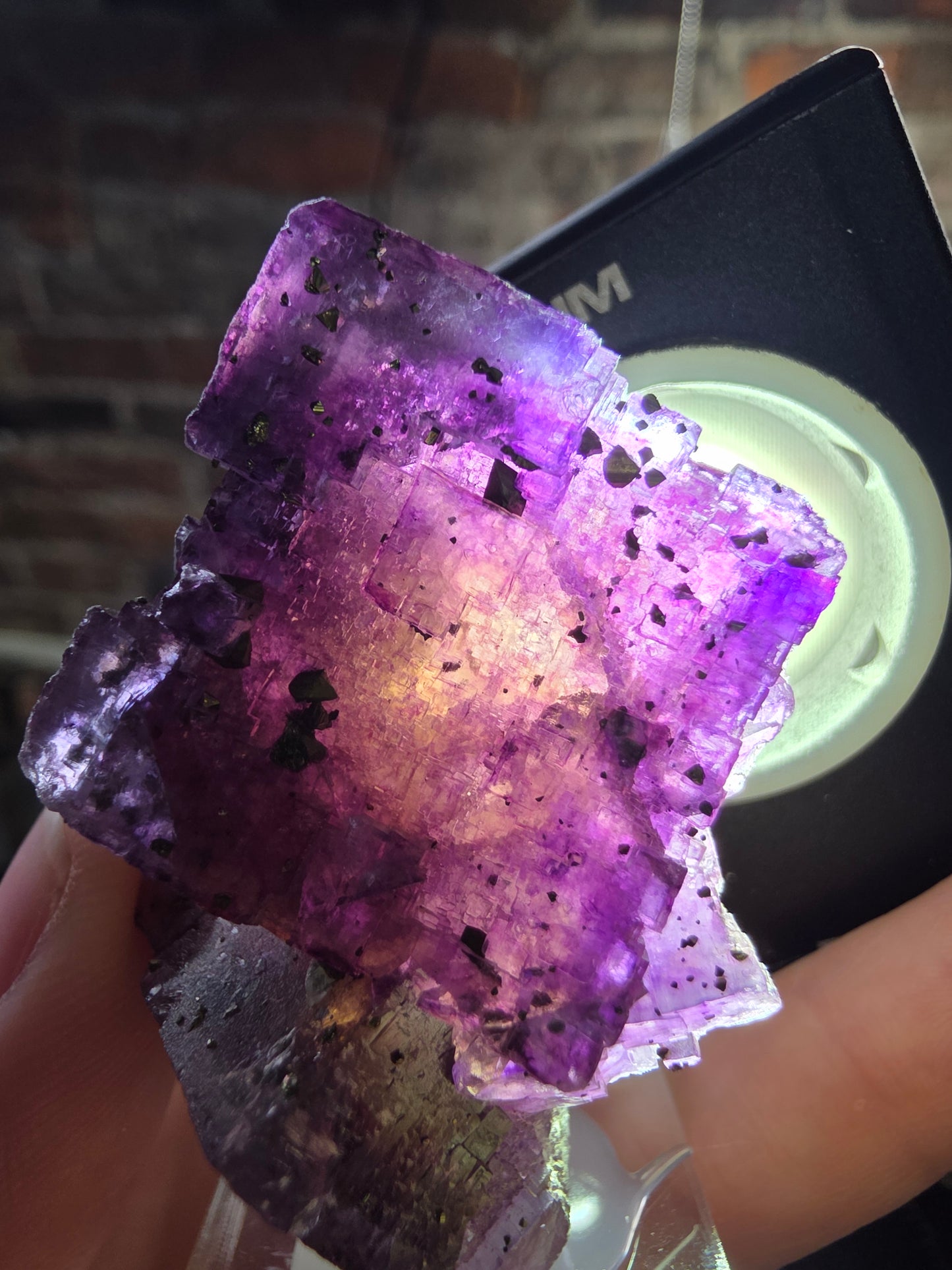 Pyrite on Fluorite