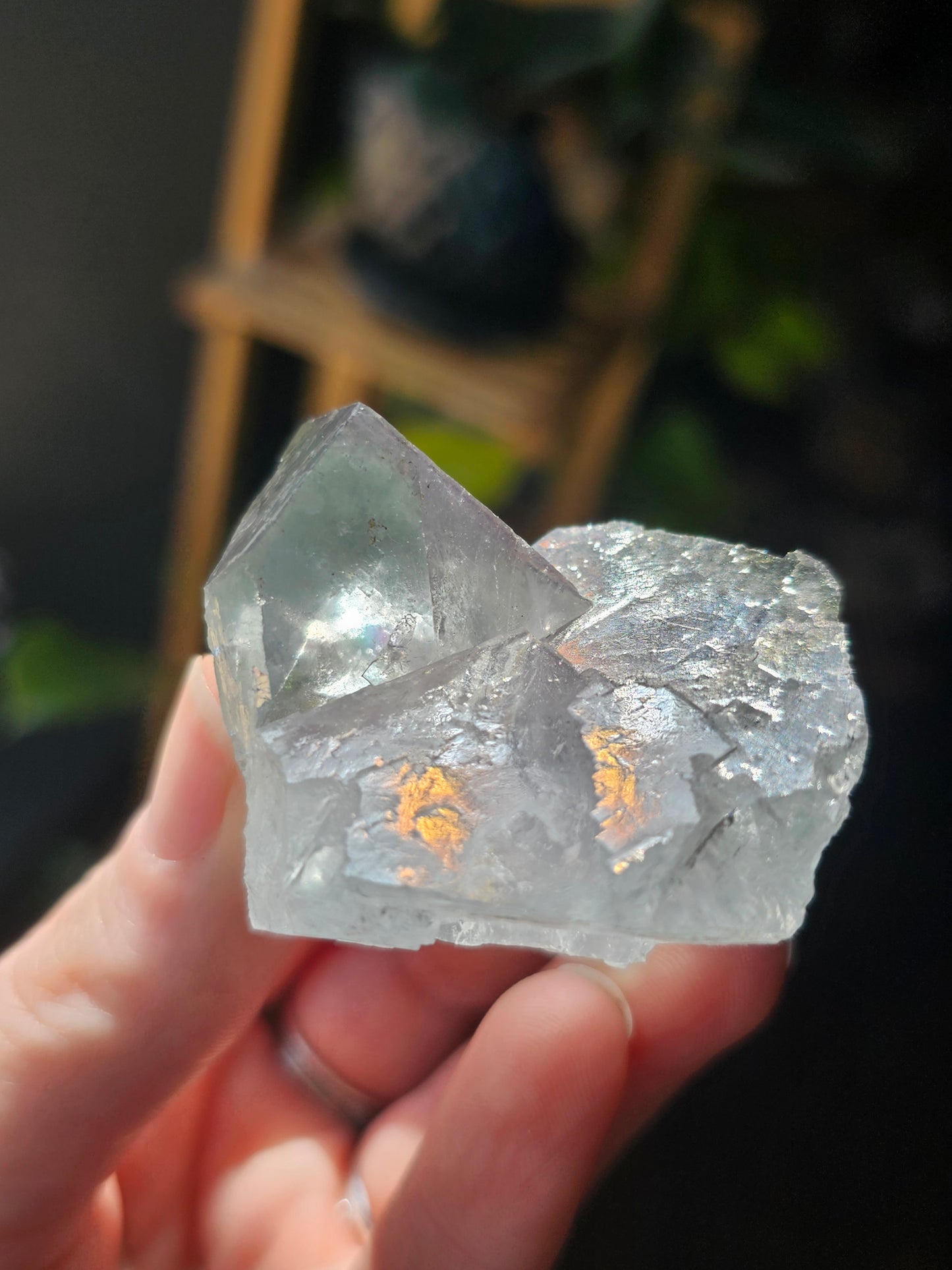 Blue Fluorite