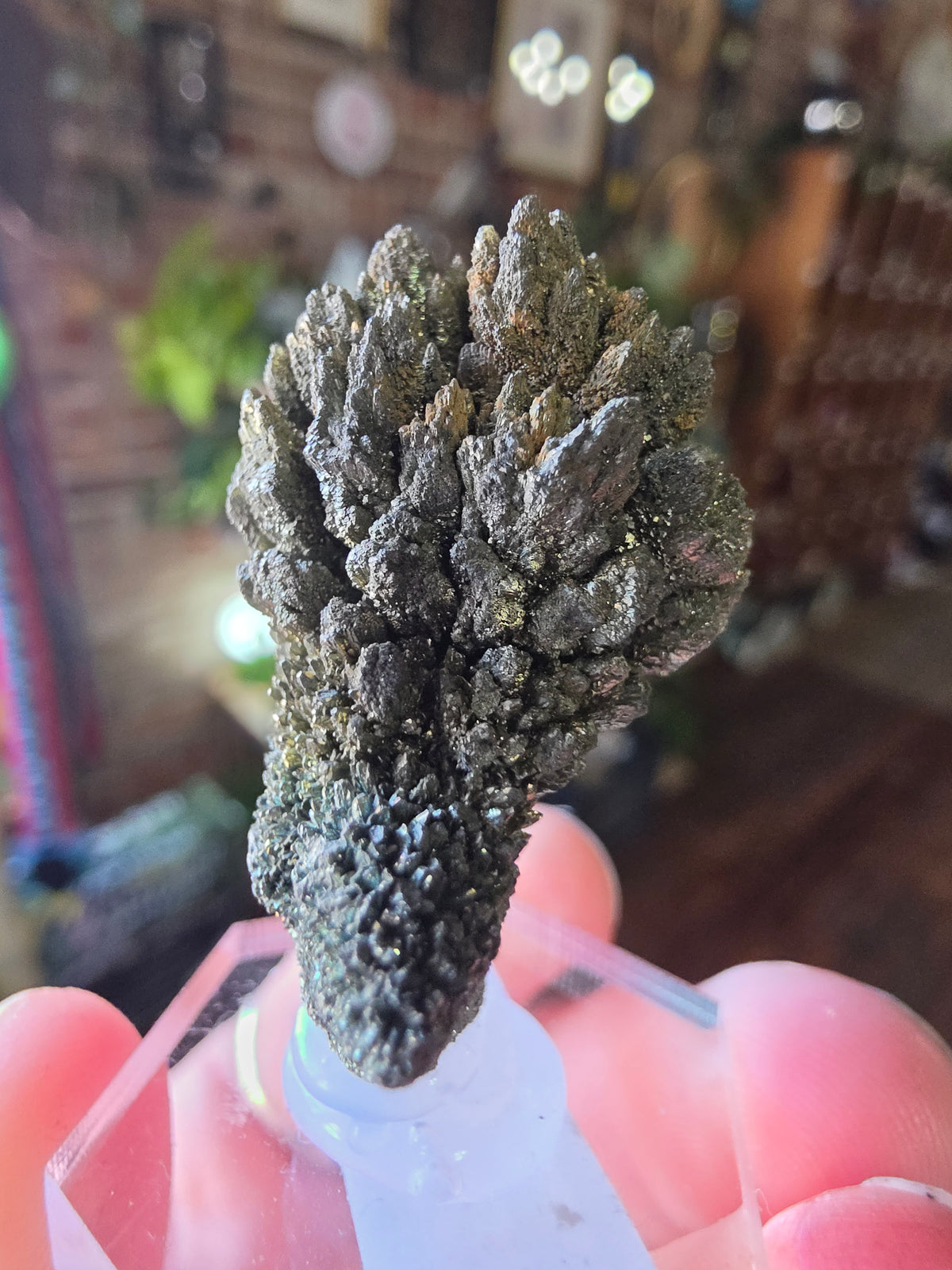 Marcasite Specimen