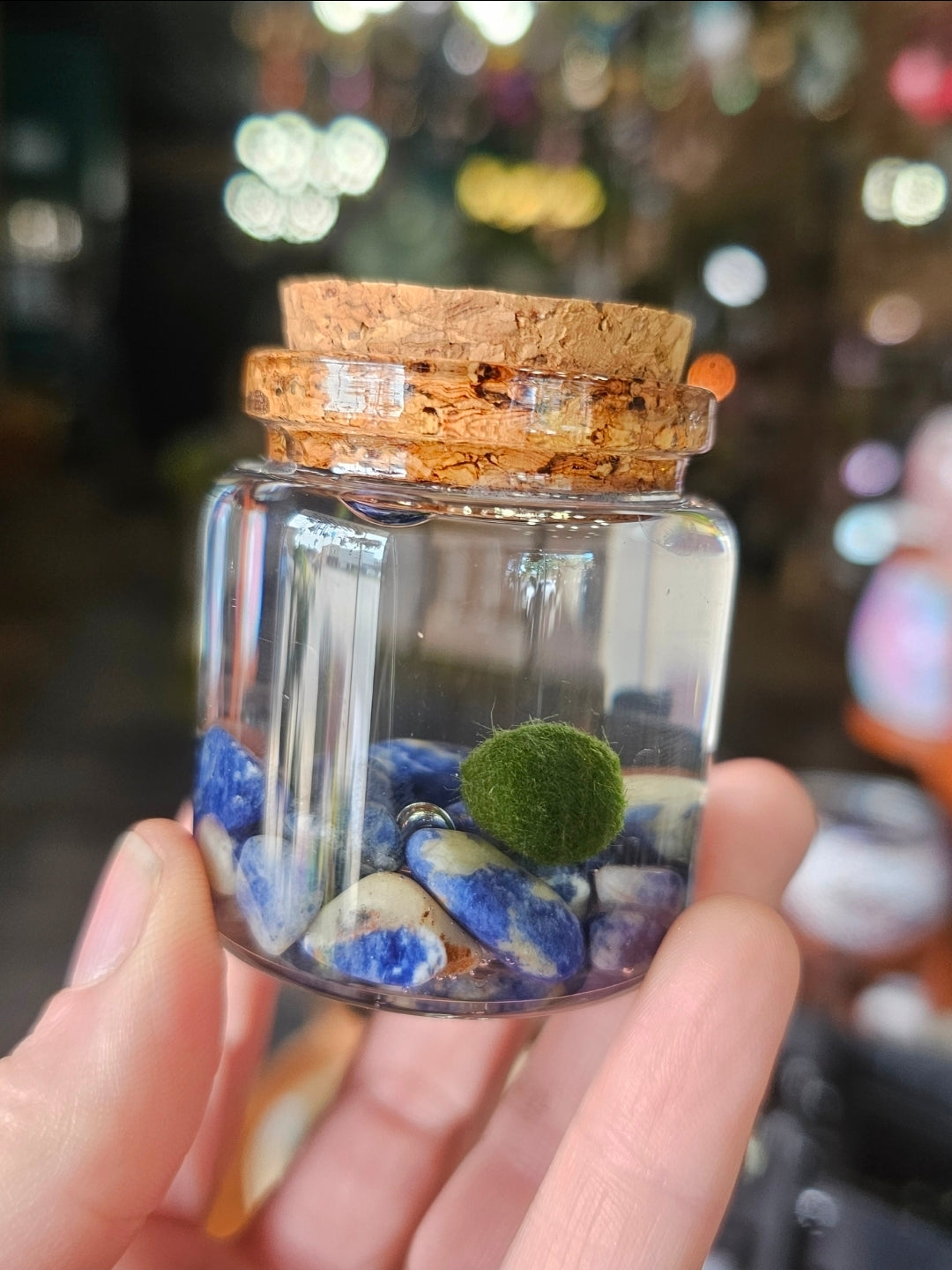 Small Marimo Moss Ball