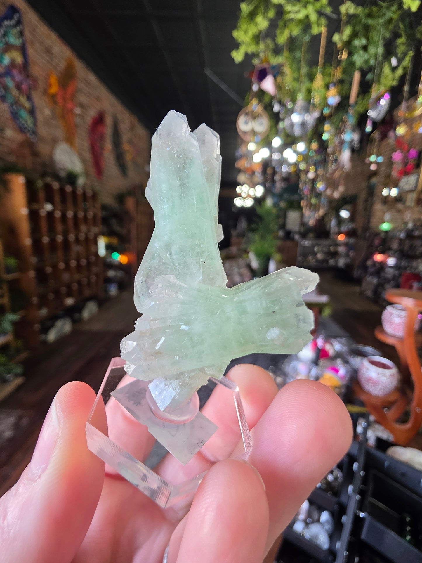 Green Apophyllite