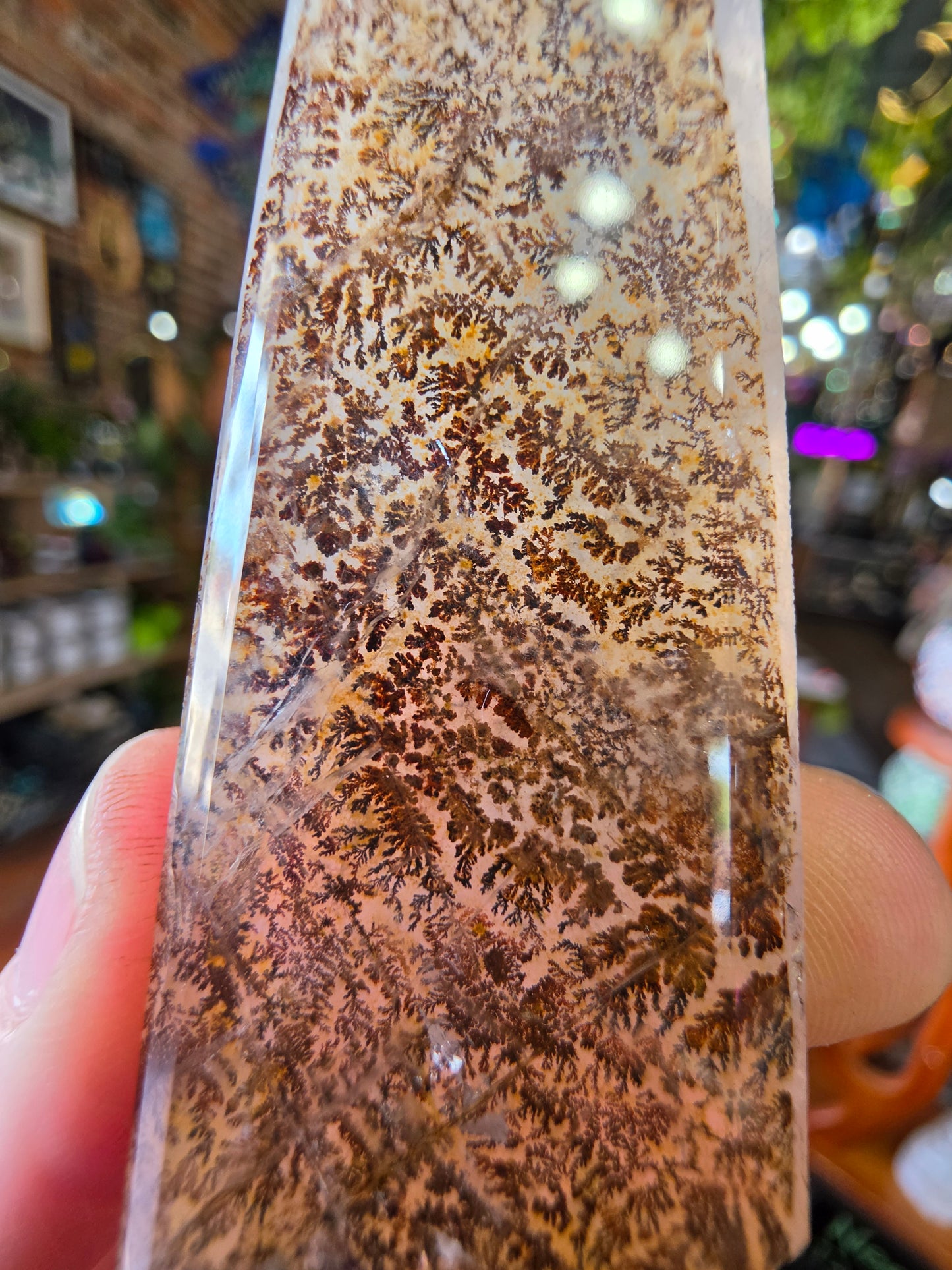 Dendritic Quartz Point
