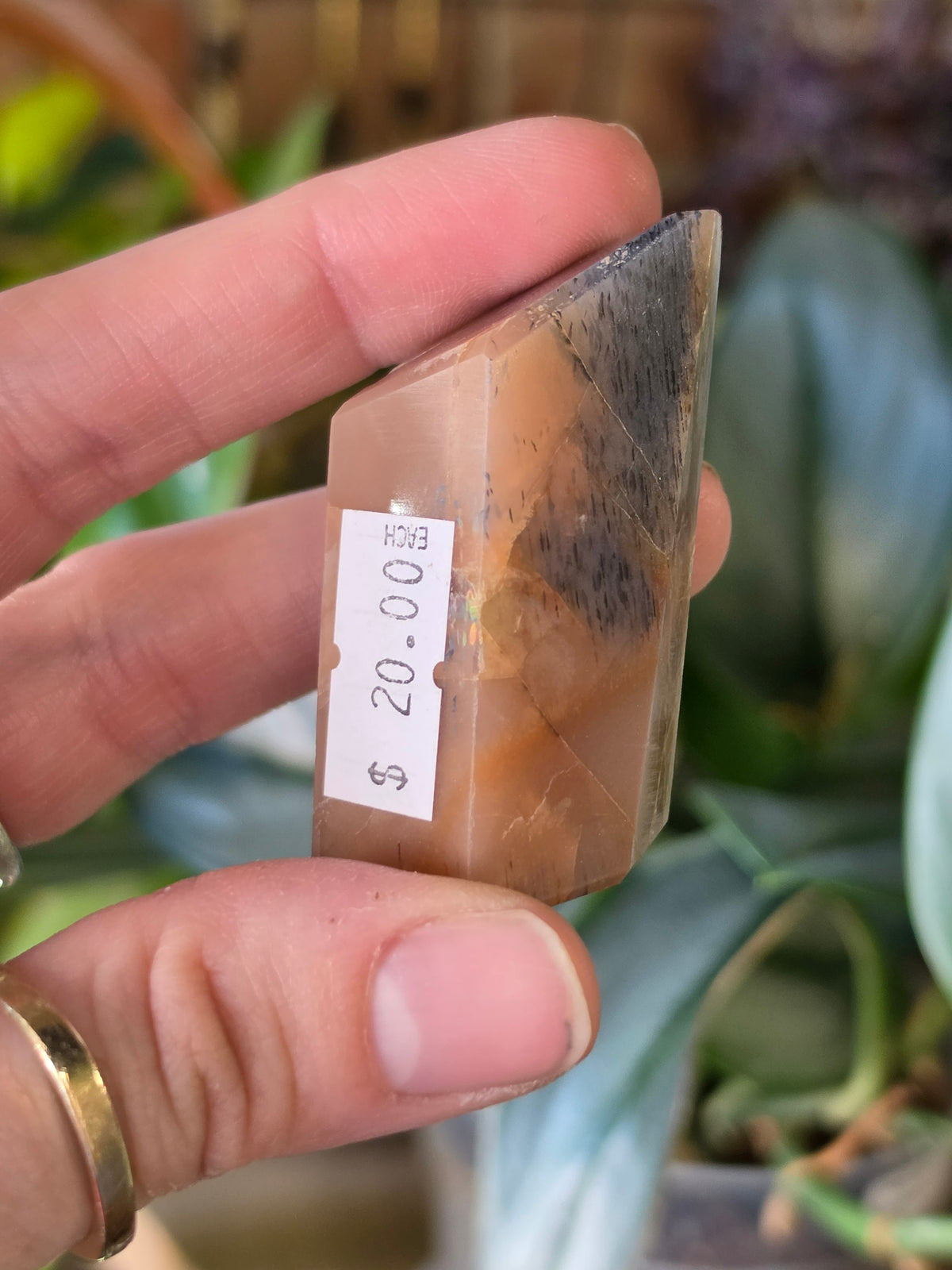 Black Sunstone