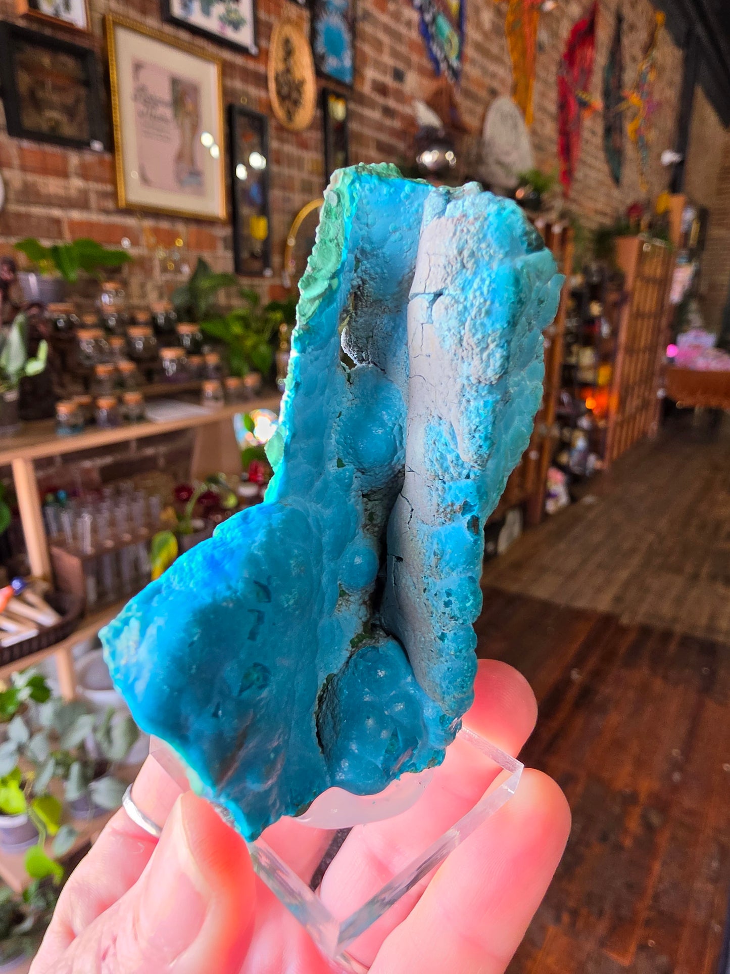 Chrysocolla and Malachite