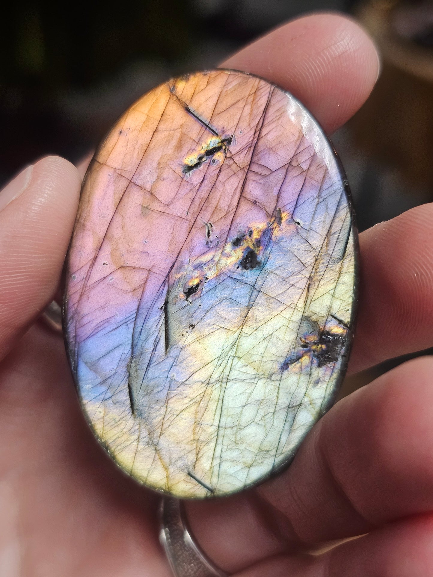 Spectralite Cabochon