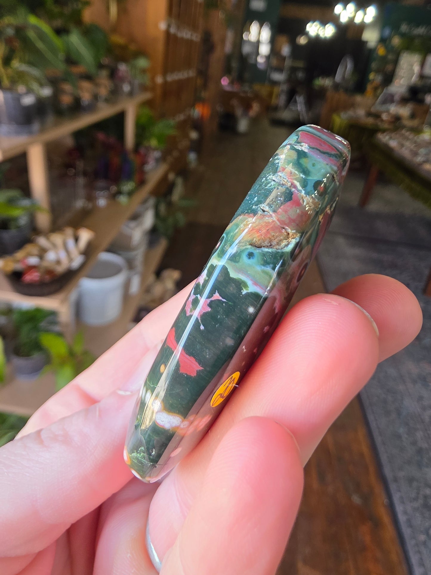 Orbicular Jasper Palmstone