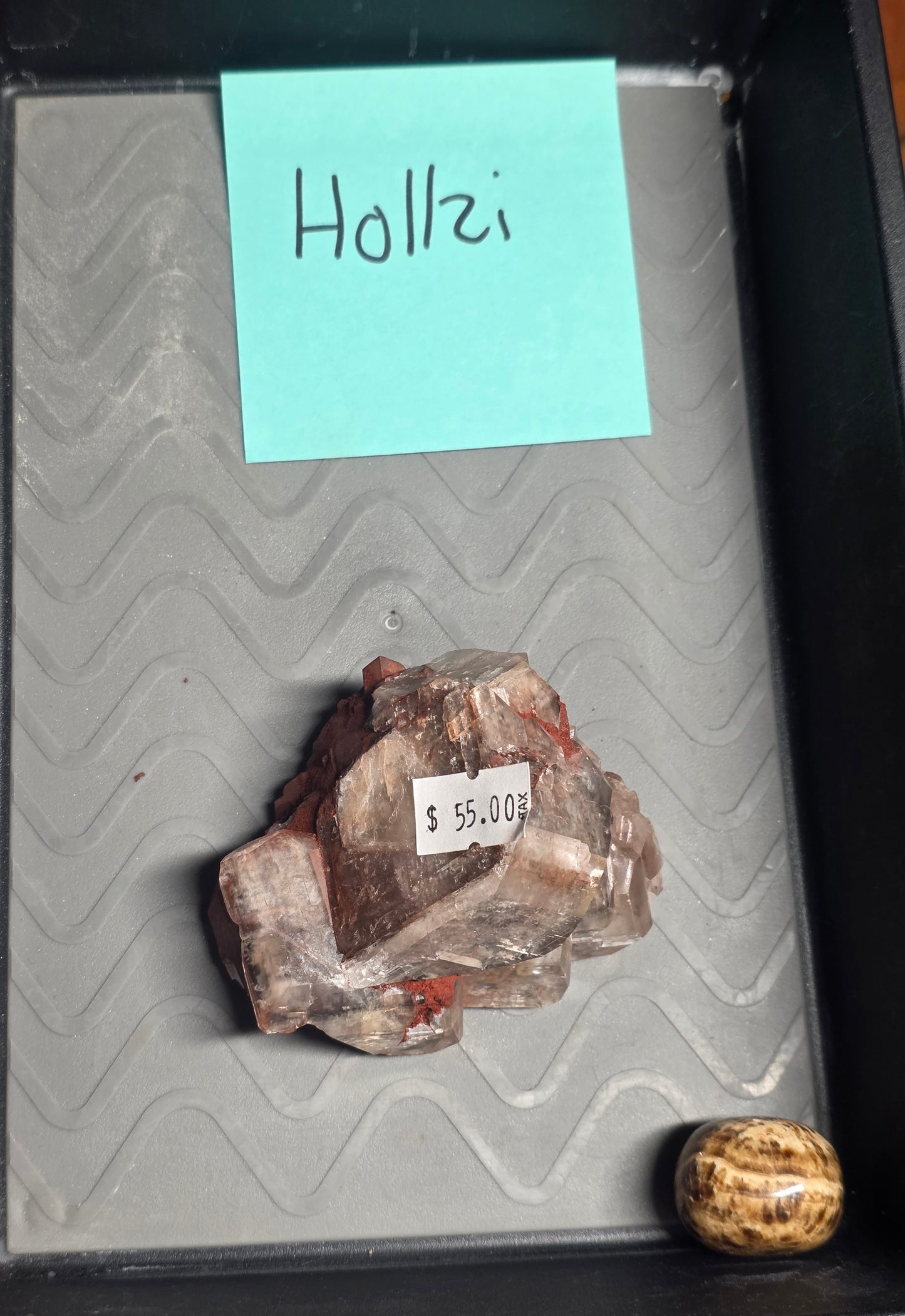 Hollzi 8/8