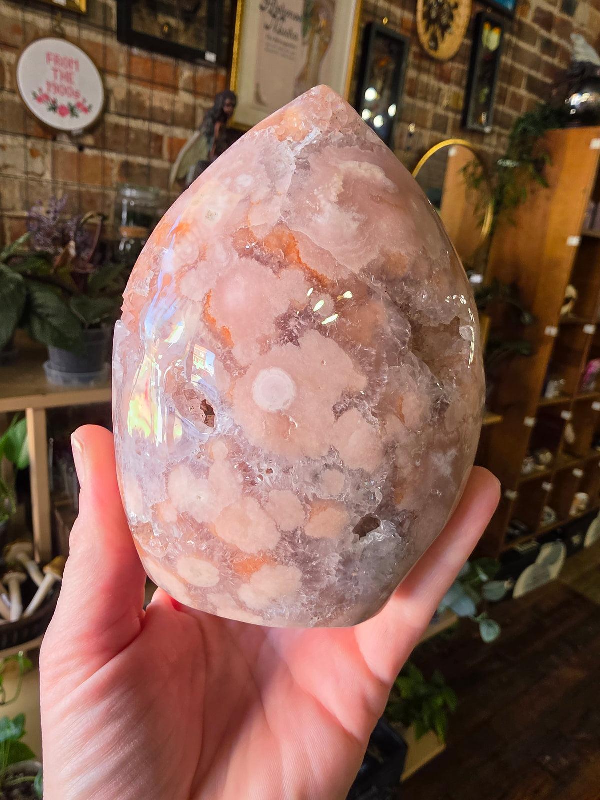 Flower Agate Freeform