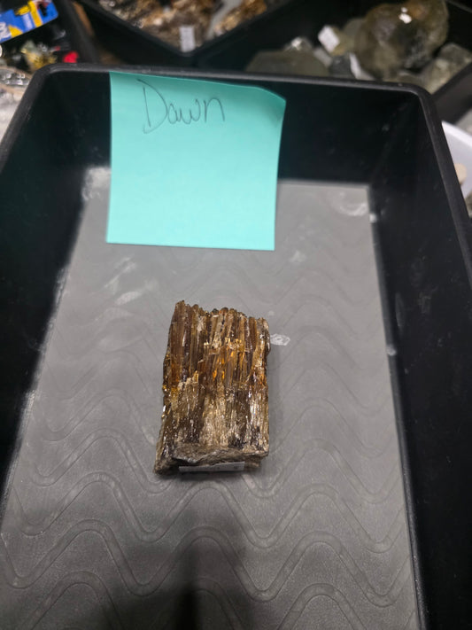 Dawn Live sale basket