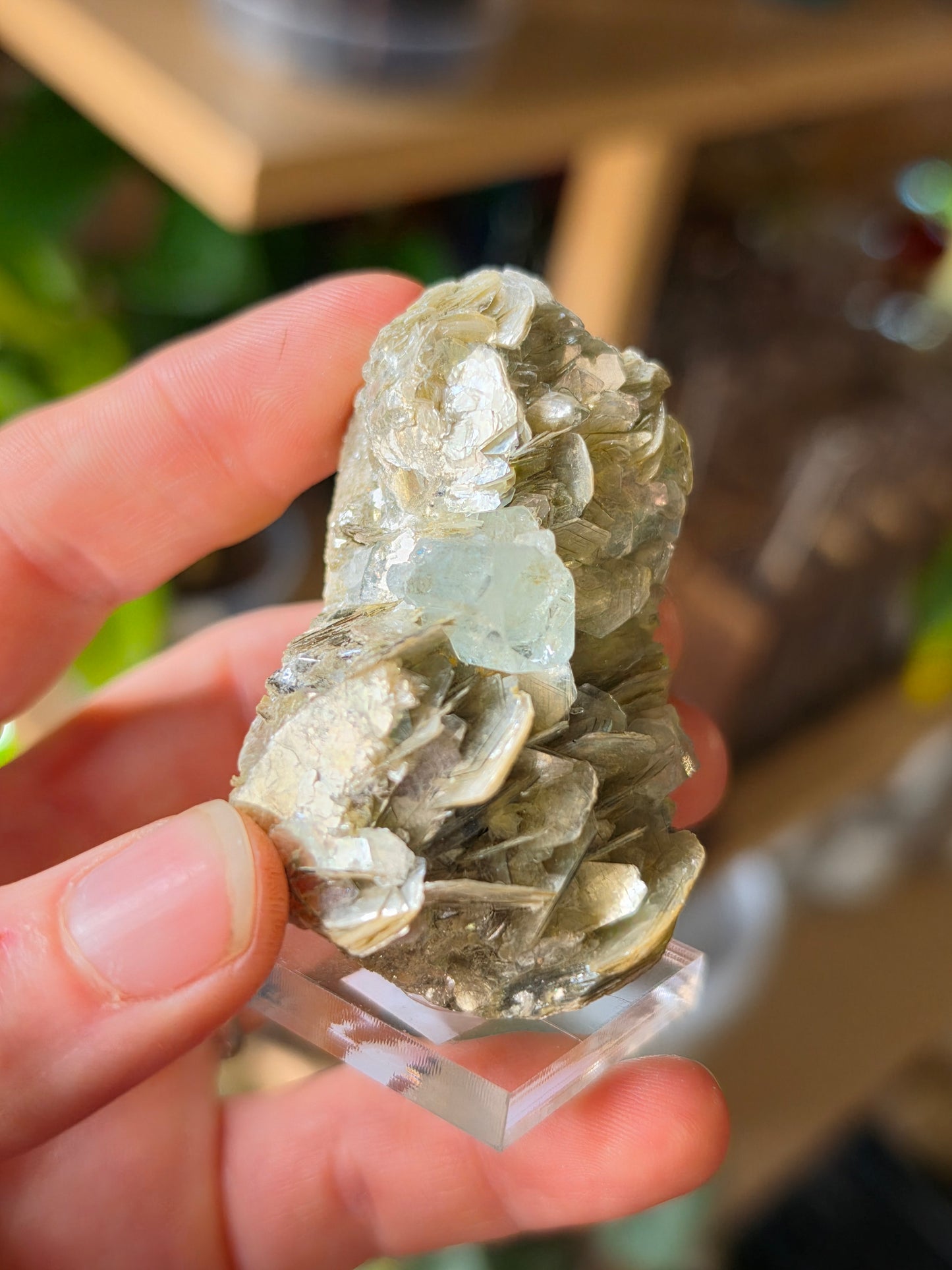 Aquamarine on Muscovite