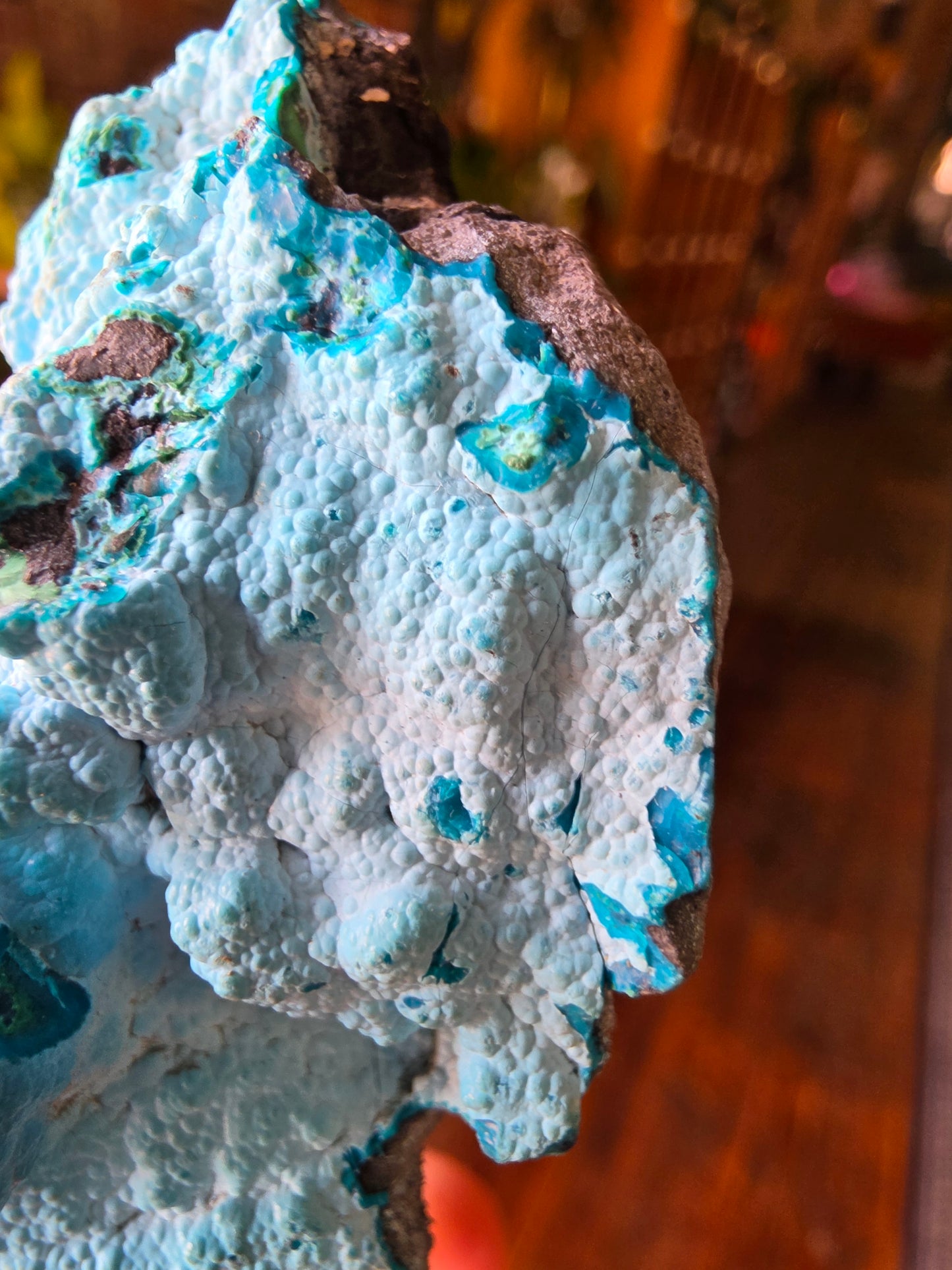 Chrysocolla and Malachite