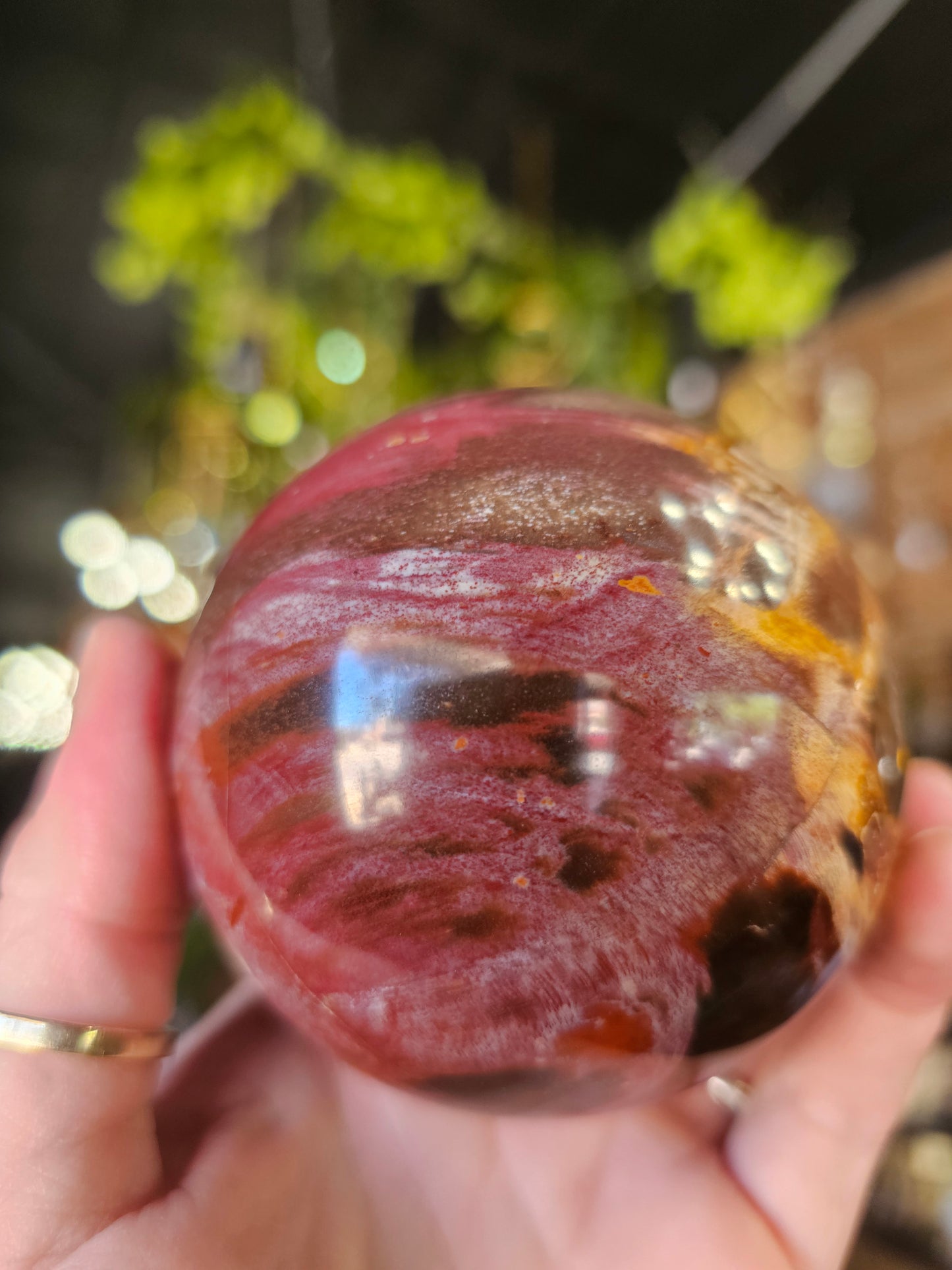 Petrified Wood  Sphere