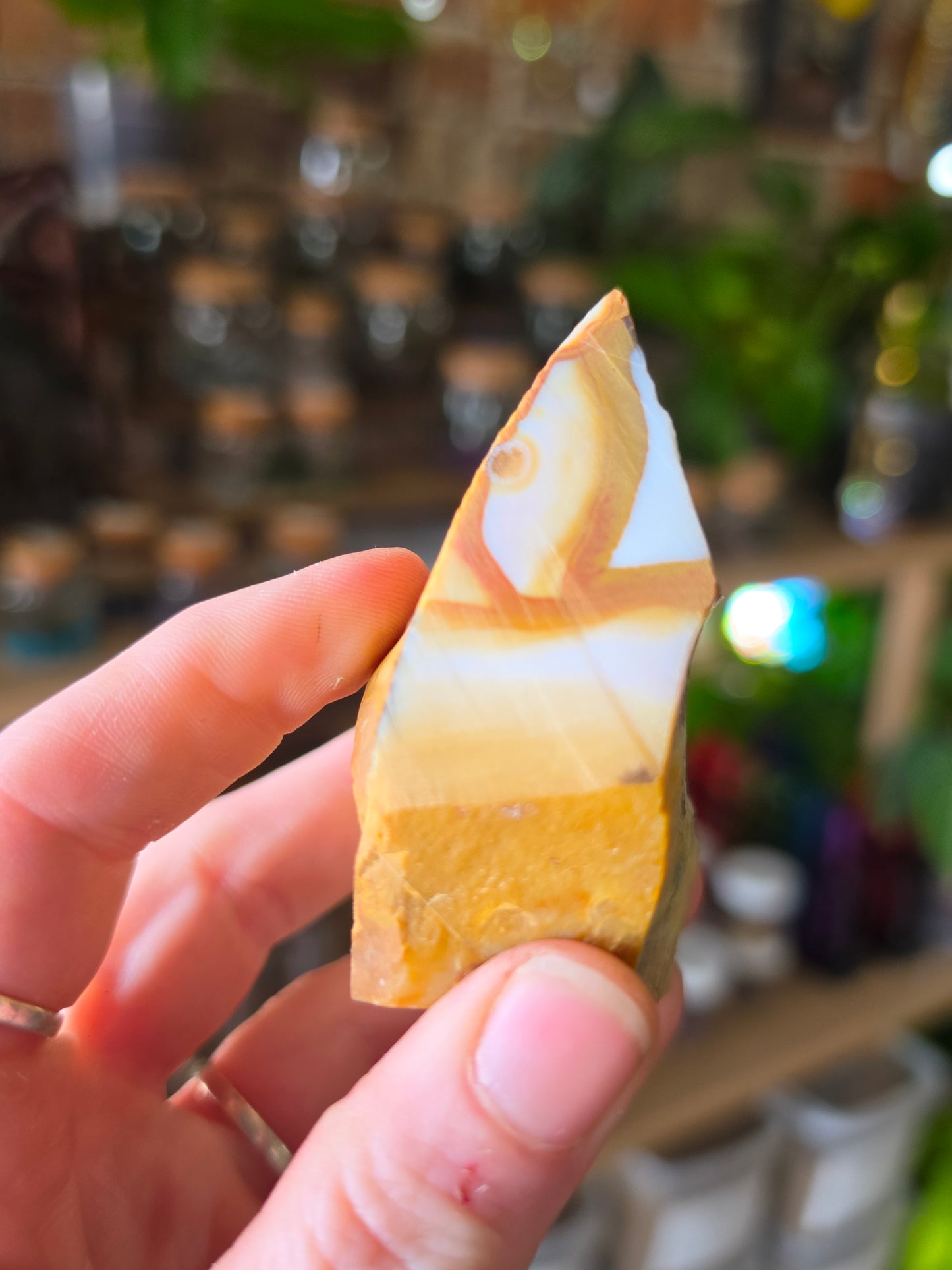 Dendritic Polkadot Agate