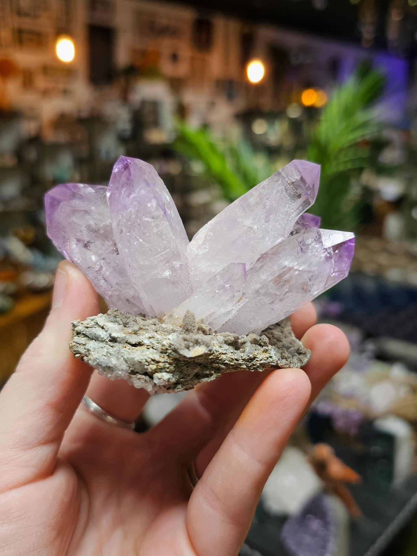 Vera Cruz Amethyst on Dolomite