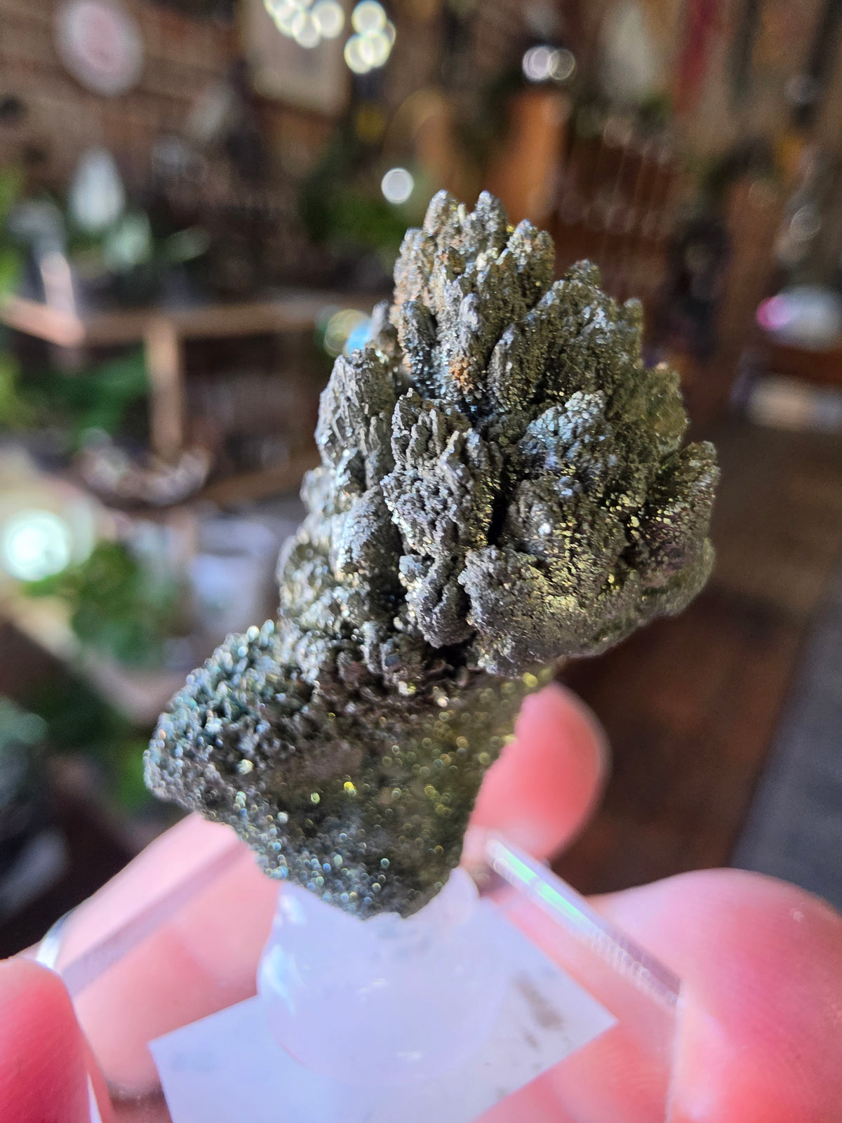 Marcasite Specimen