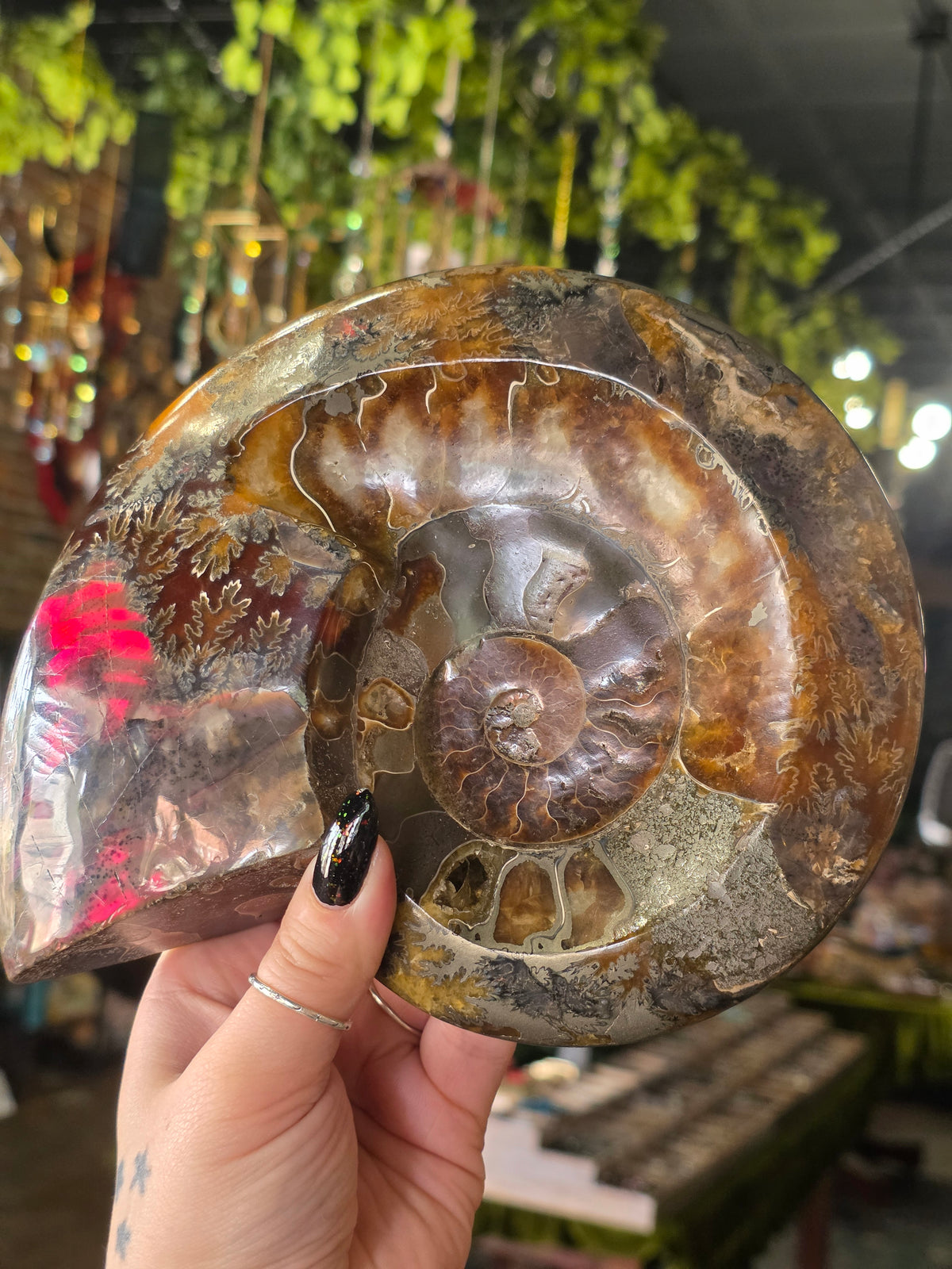 Large Iridescent Ammonite Dish