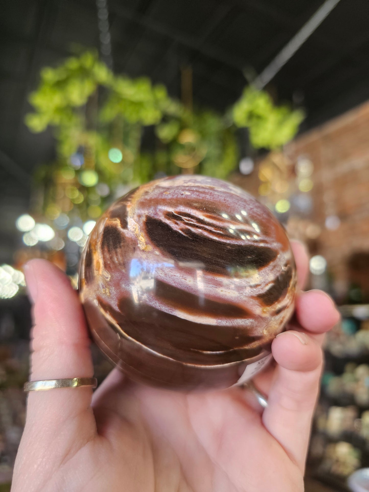 Petrified Wood  Sphere