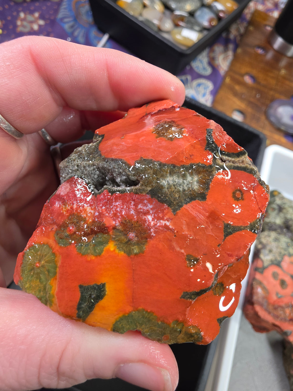 Orbicular Jasper Rough