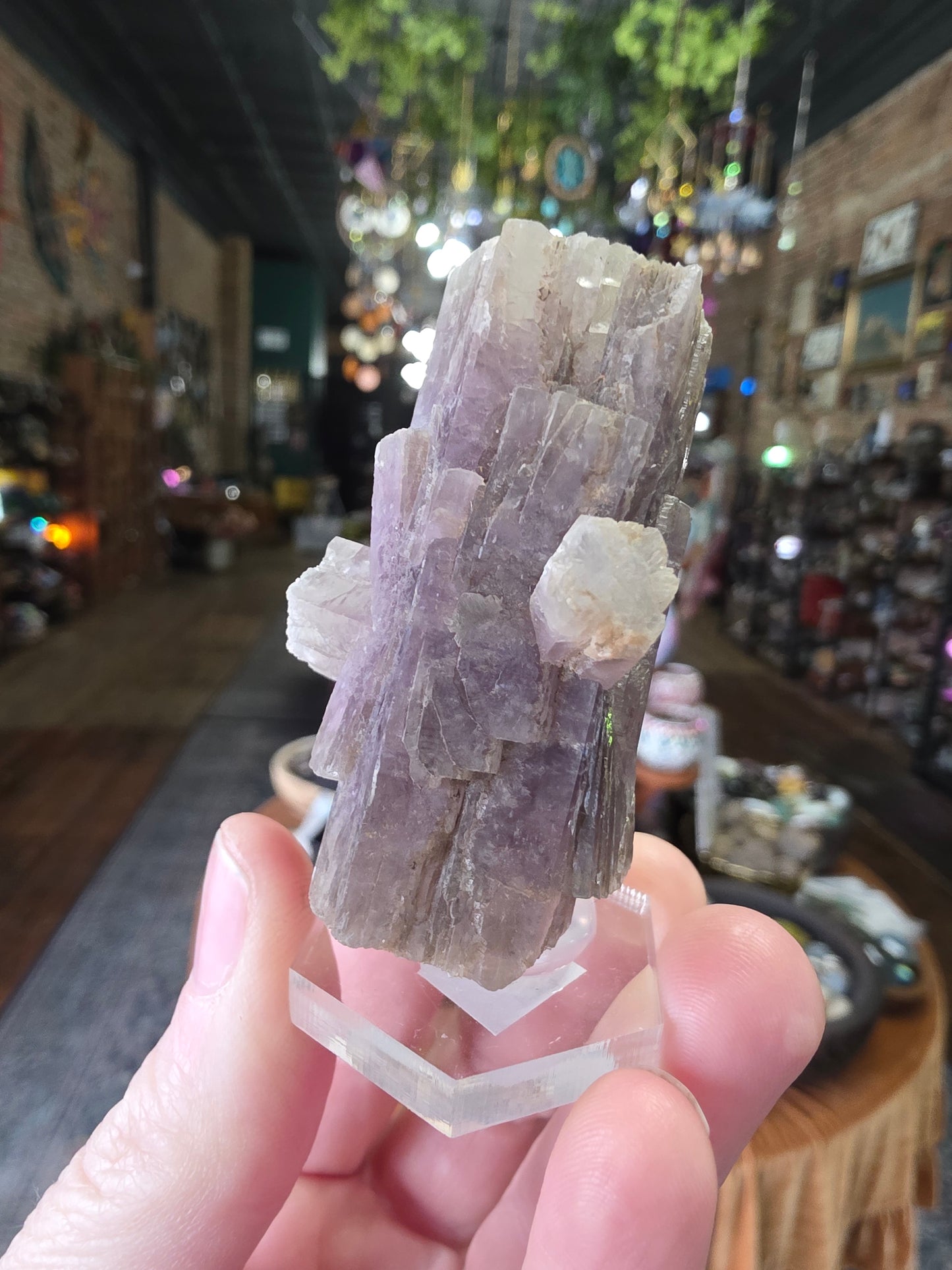 Purple Aragonite