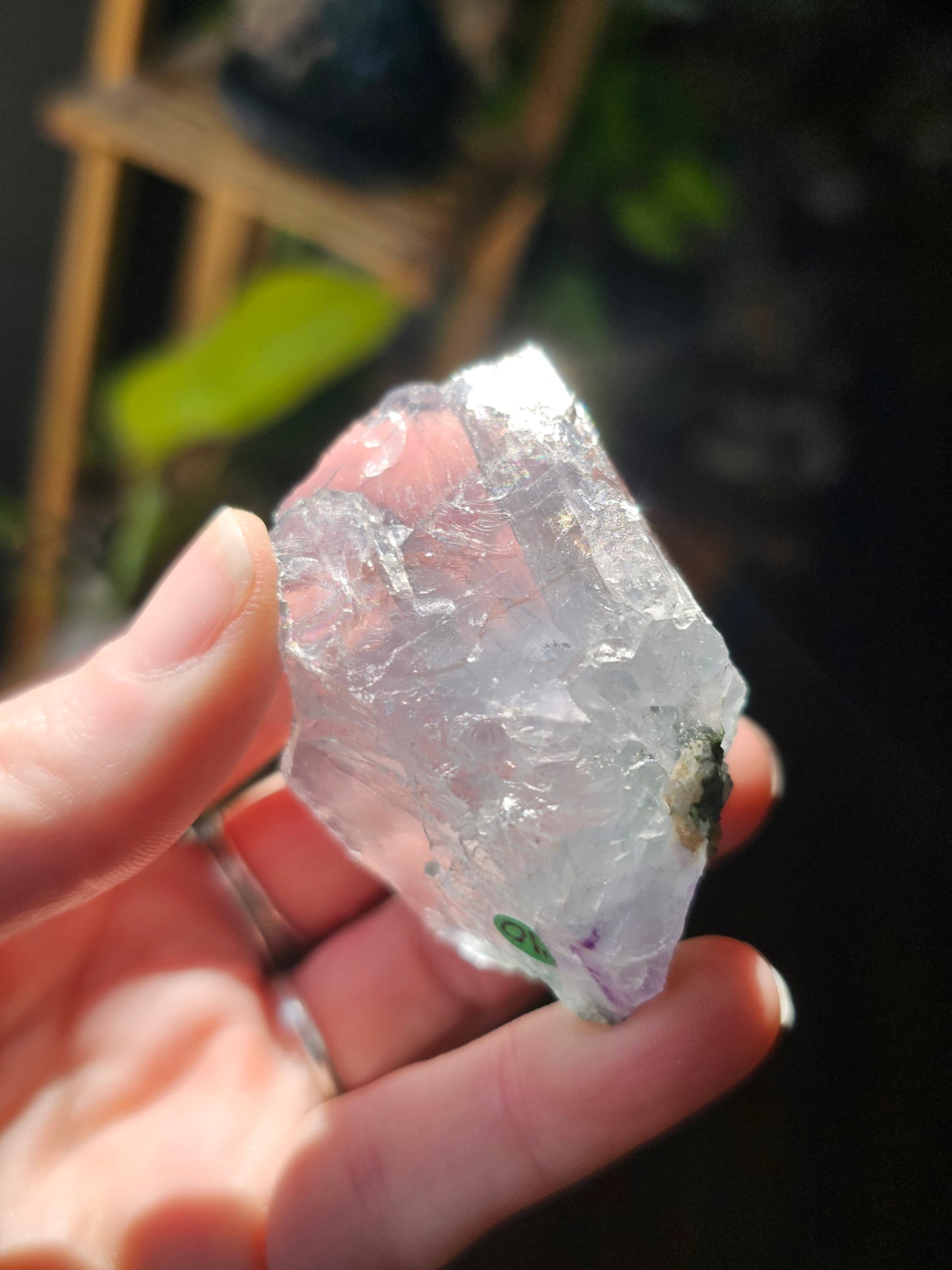 Blue Fluorite