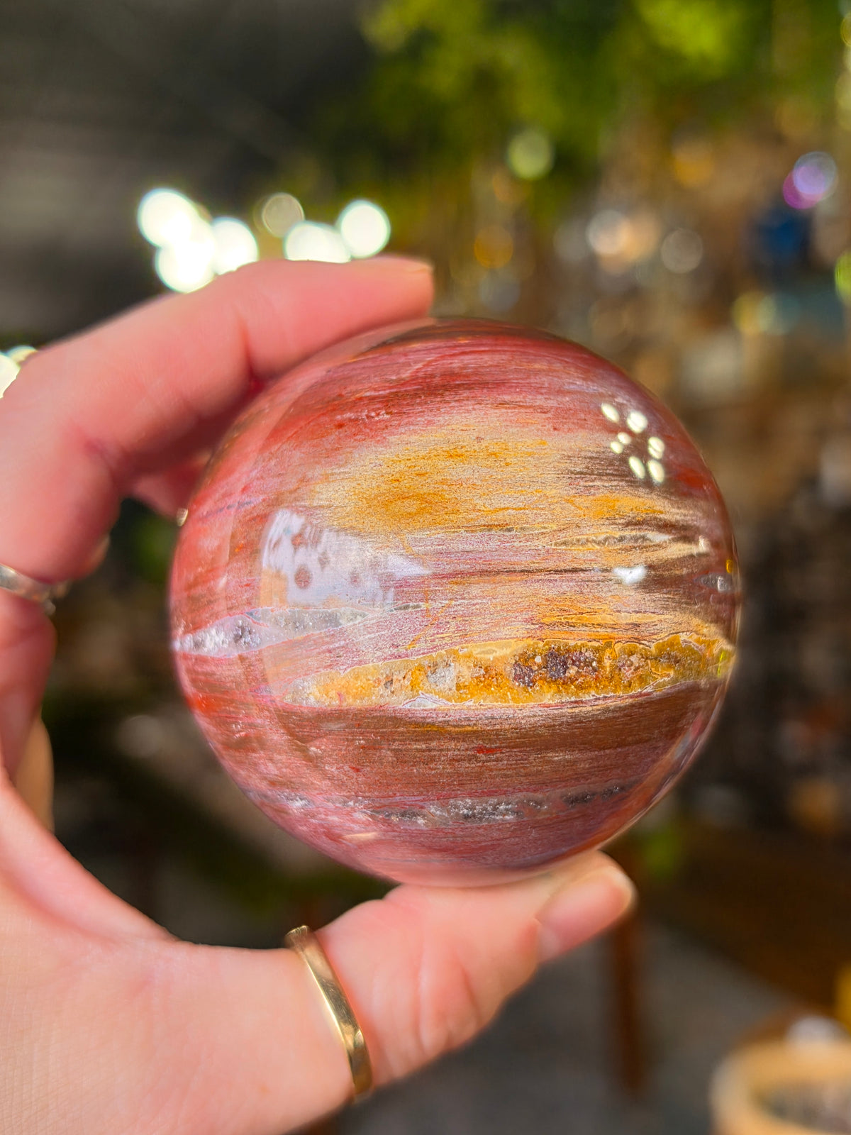 Petrified Wood Sphere