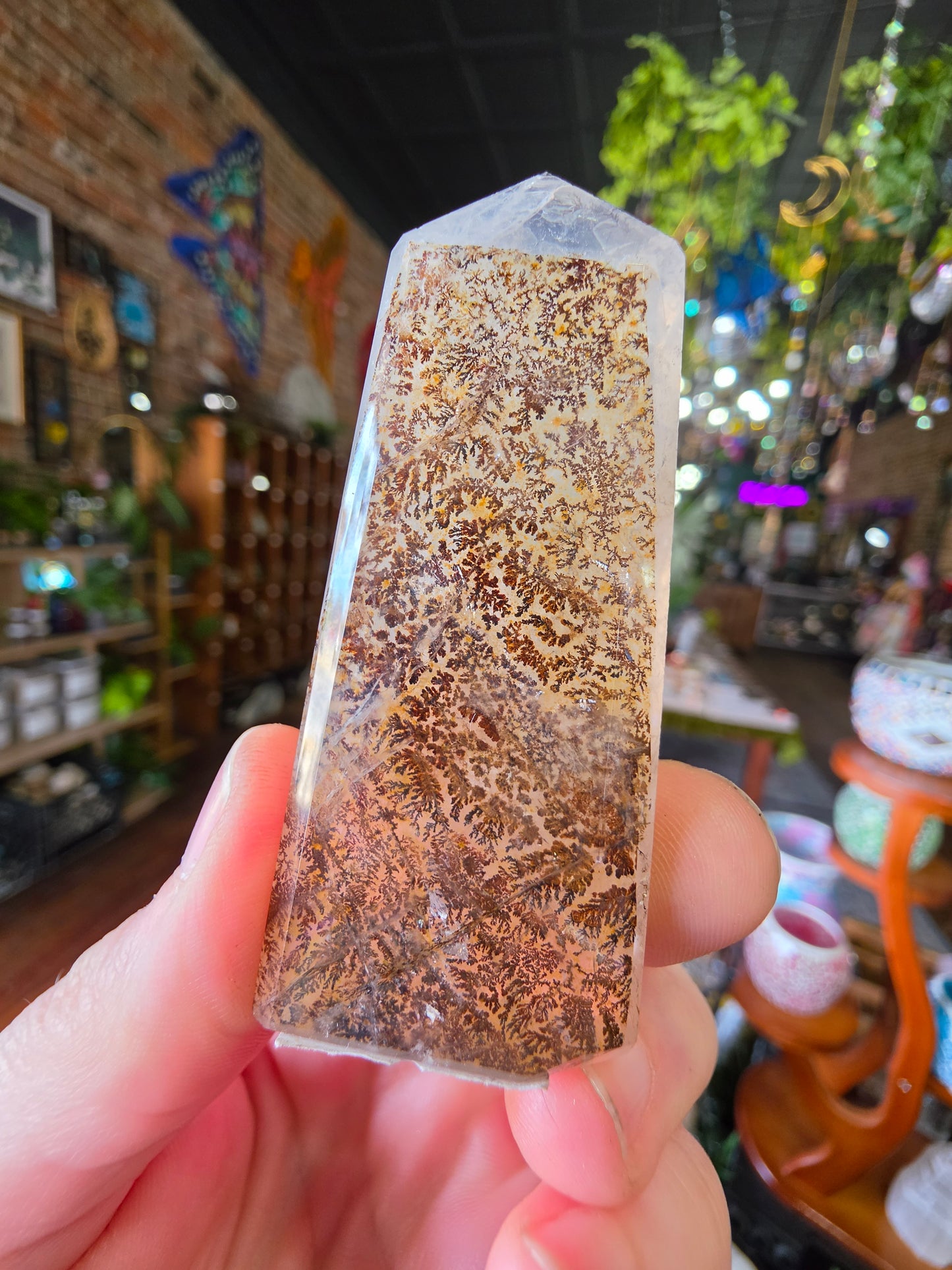 Dendritic Quartz Point