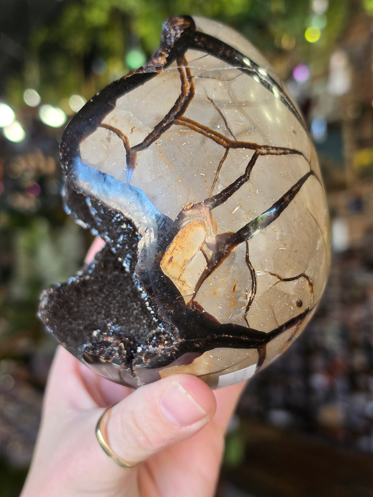Septarian Nodule Egg