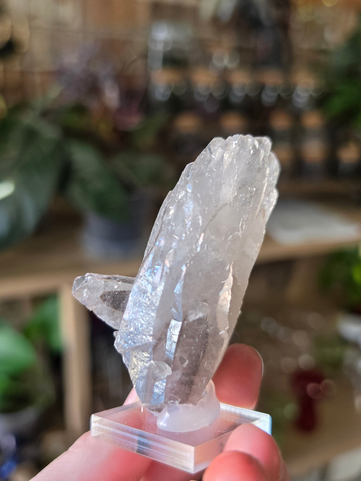 Phantom Calcite