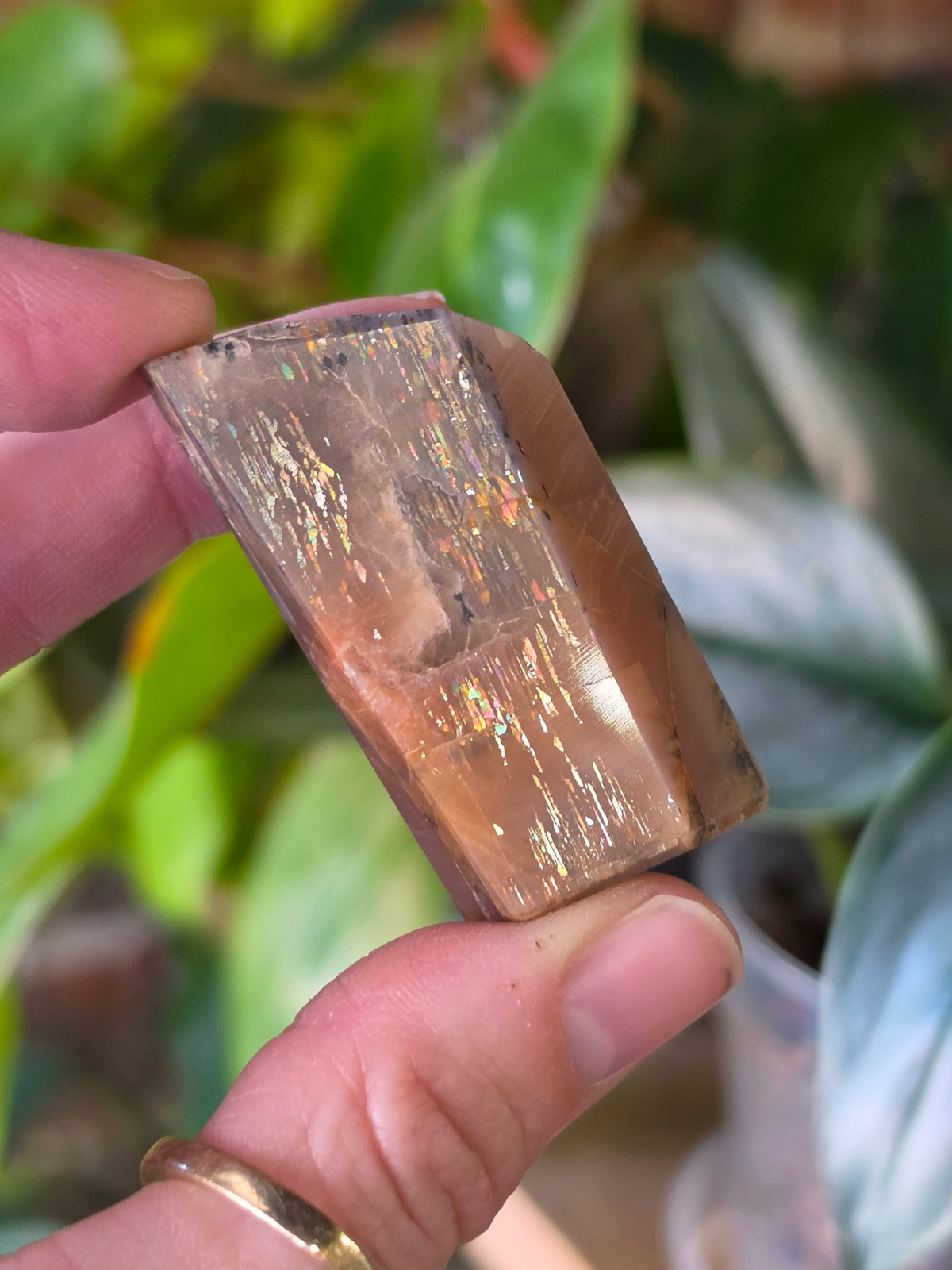 Black Sunstone