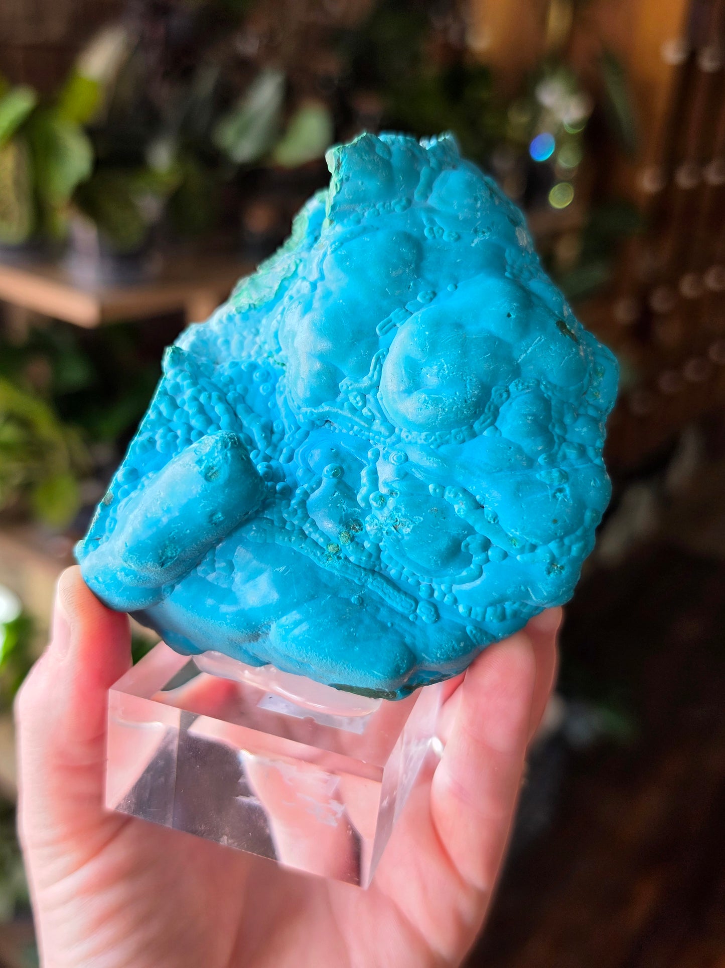 Chrysocolla and Malachite Specimen