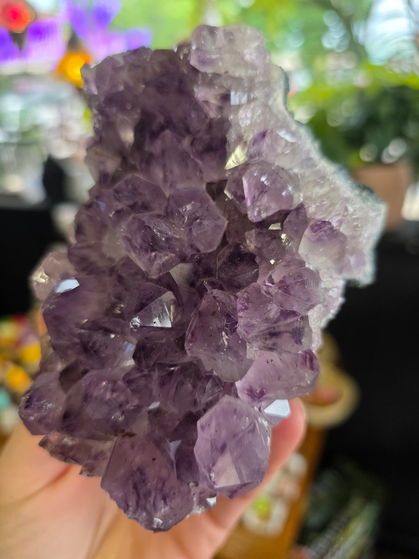 Amethyst Cluster Freeform