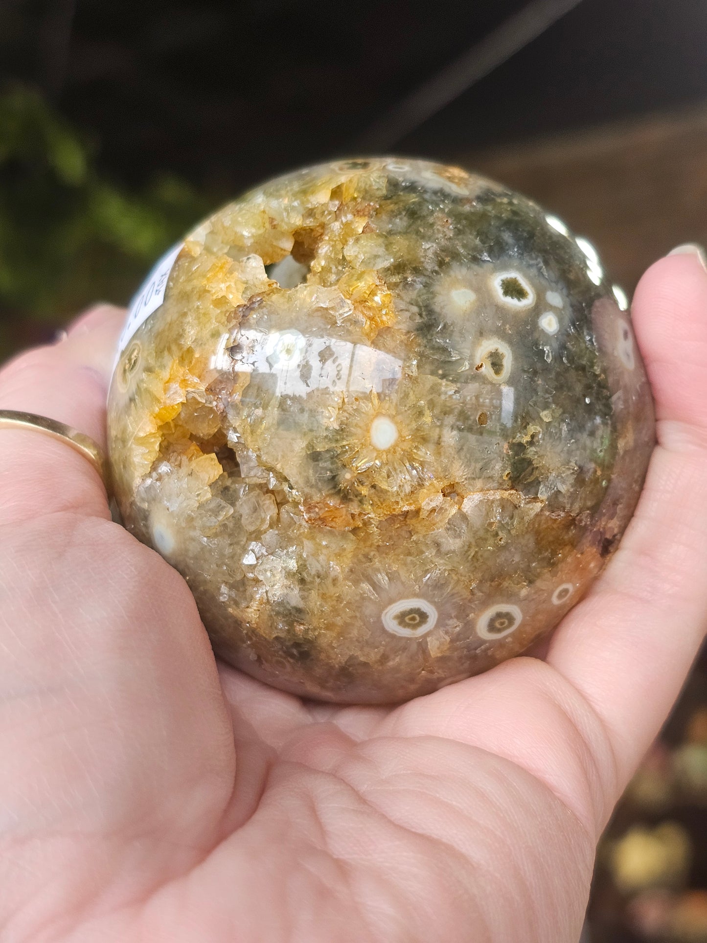 Ocean Jasper