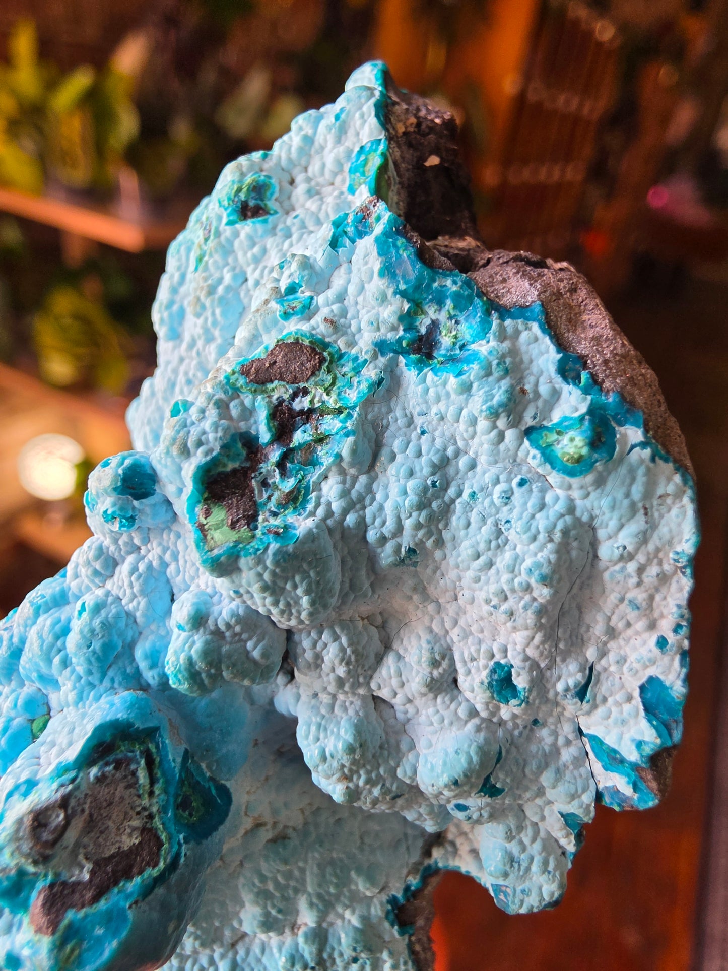 Chrysocolla and Malachite