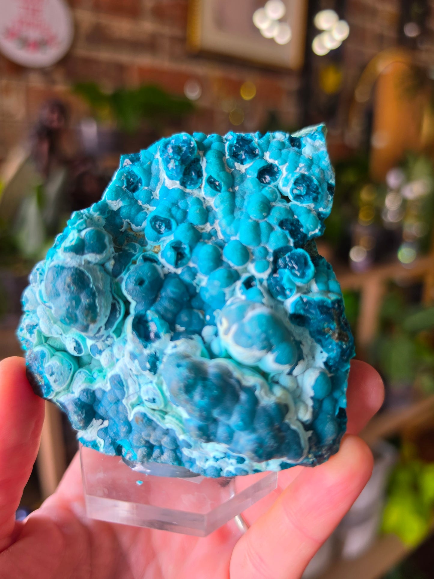 Chrysocolla Specimen