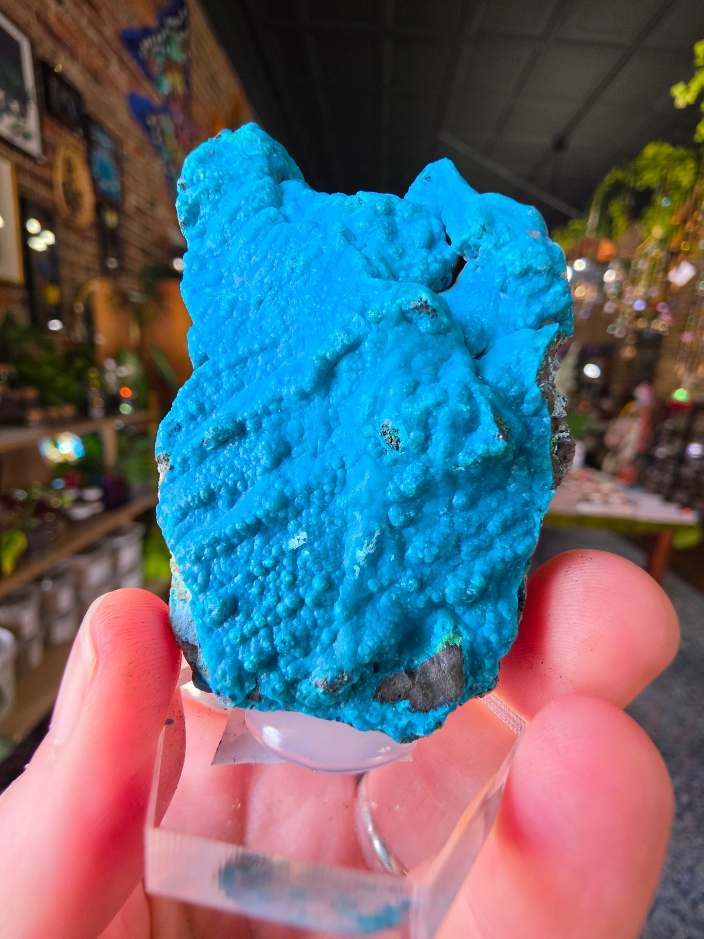 Chrysocolla and Malachite