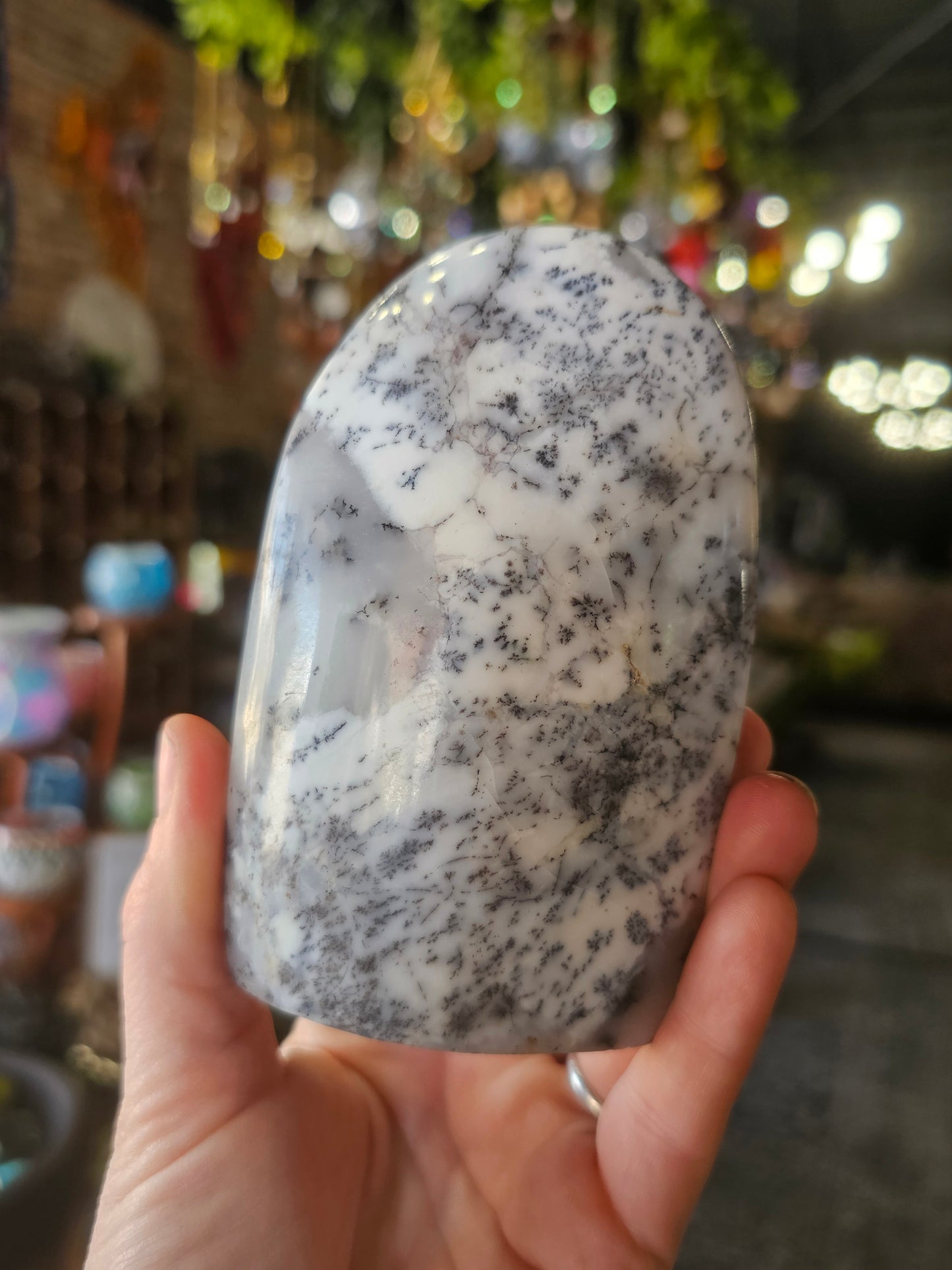 Dendritic Common Opal Freeform