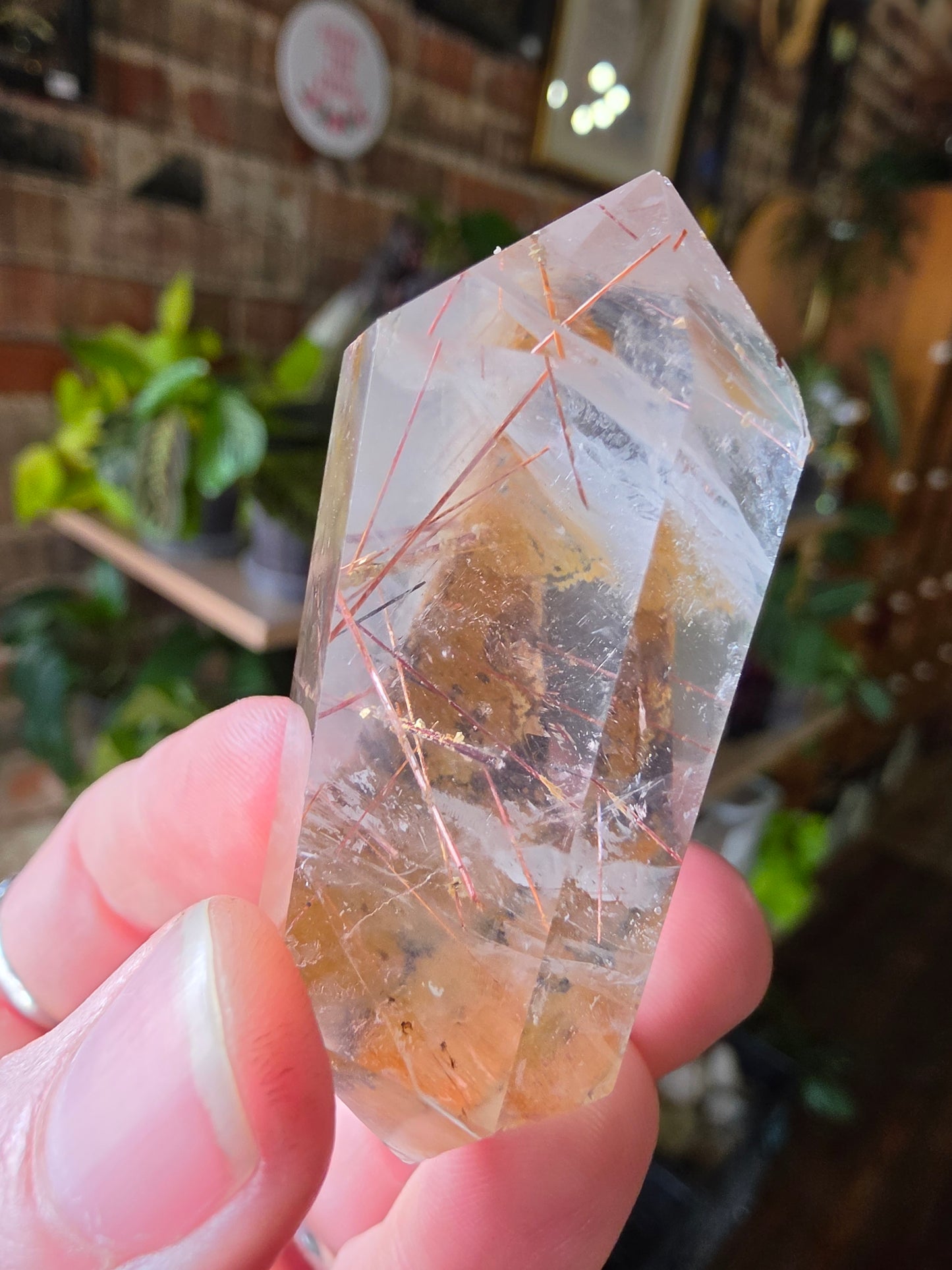 Rutilated Quartz DT